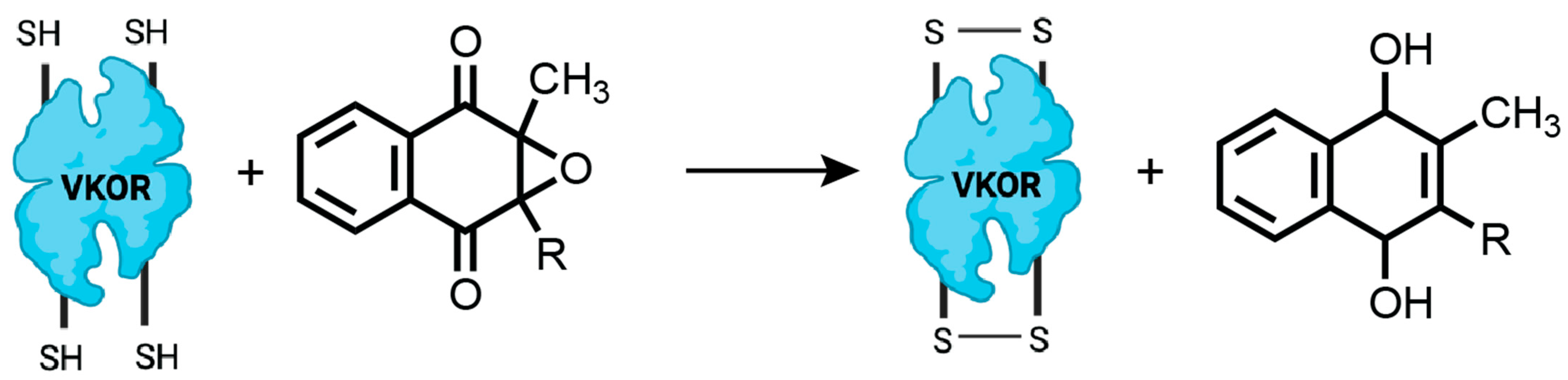 Antioxidants 14 01193 g006
