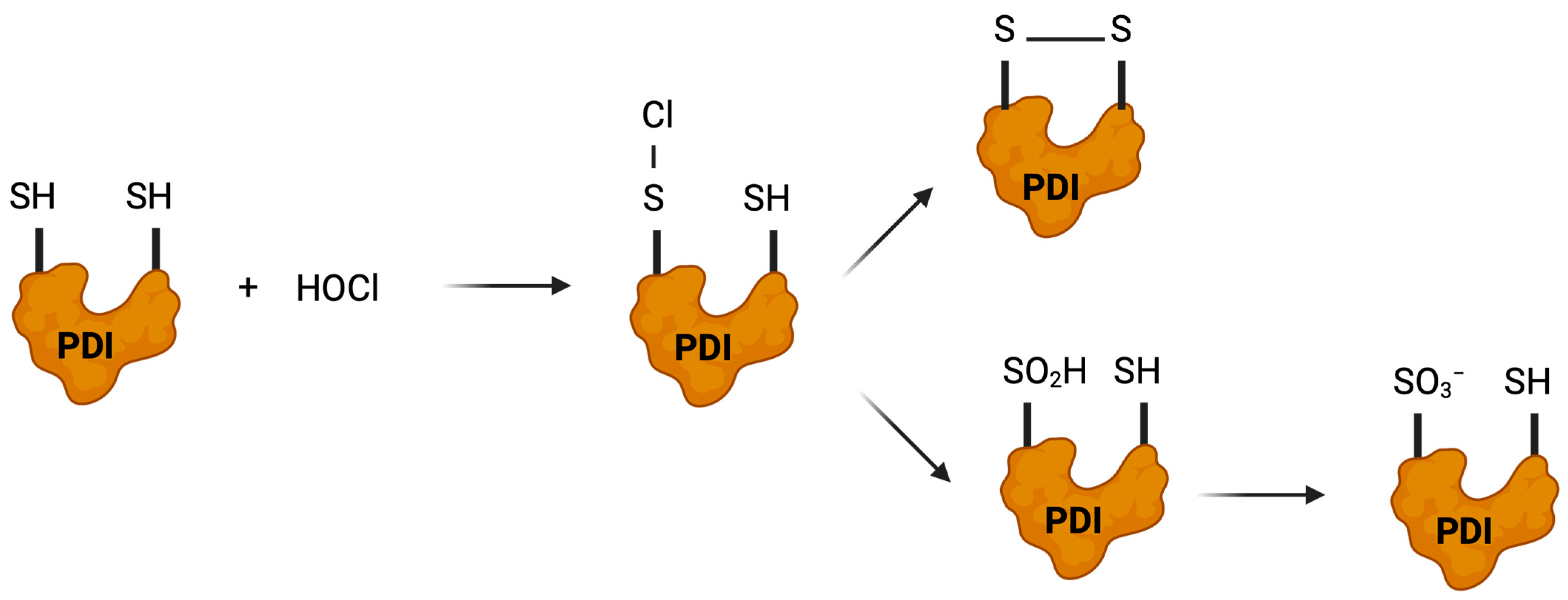Antioxidants 14 01193 g007