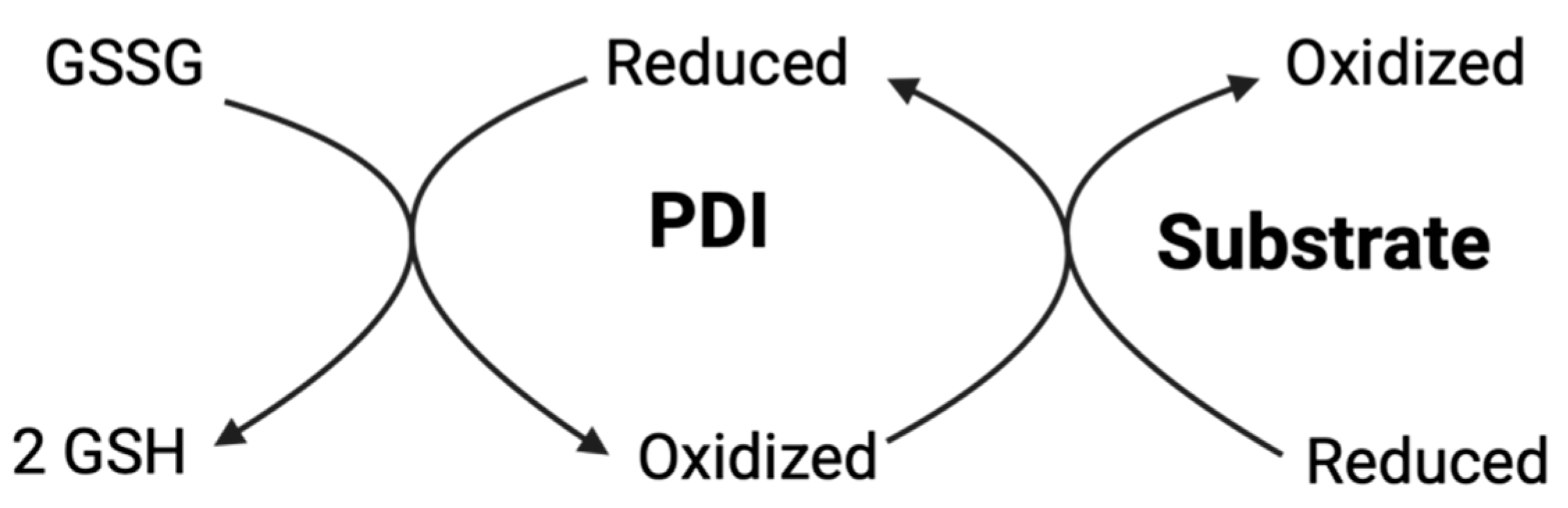 Antioxidants 14 01193 g008
