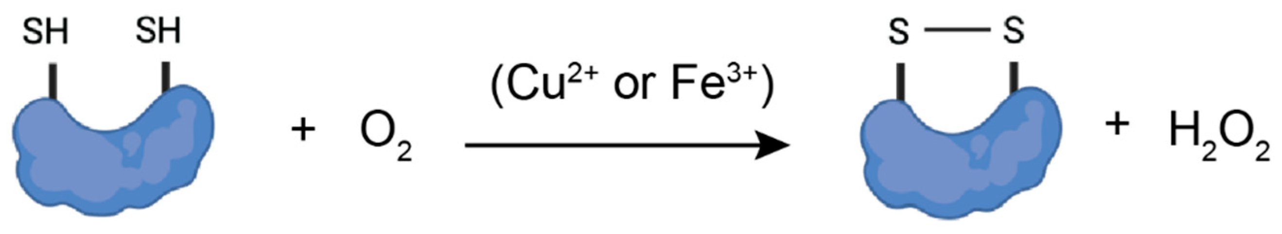 Antioxidants 14 01193 g010