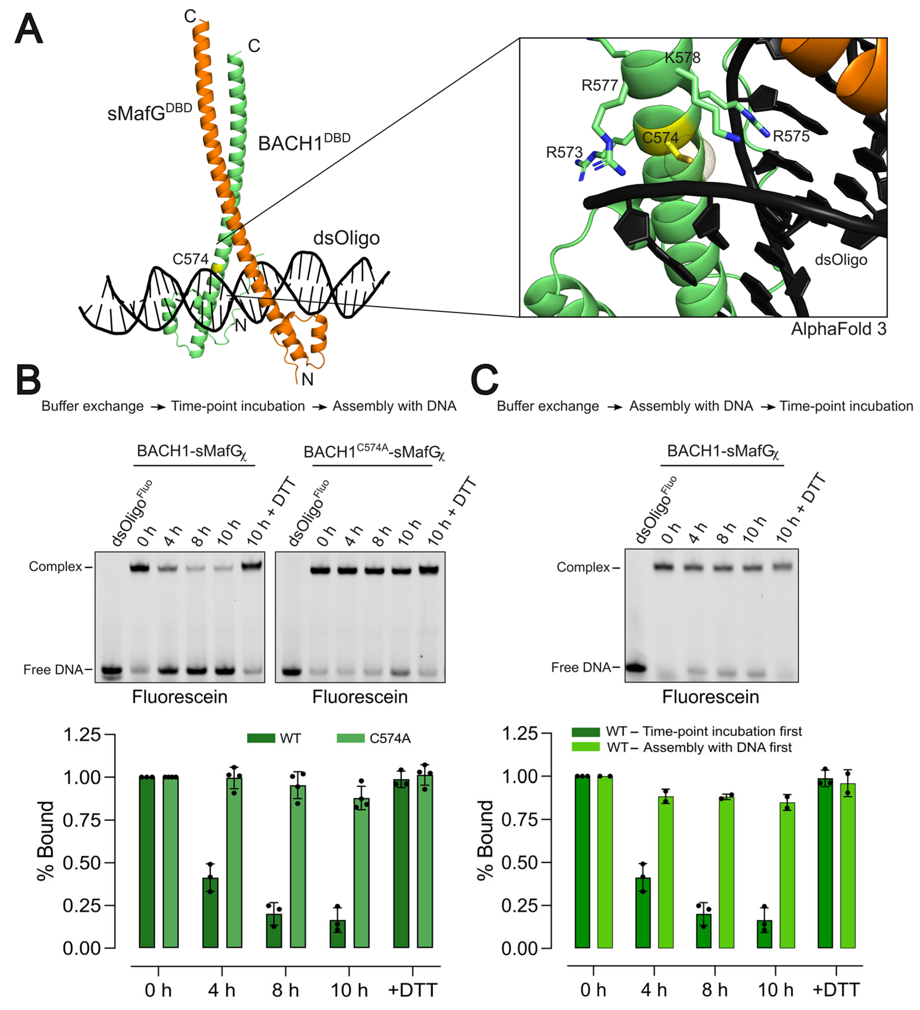 Antioxidants 14 01203 g003