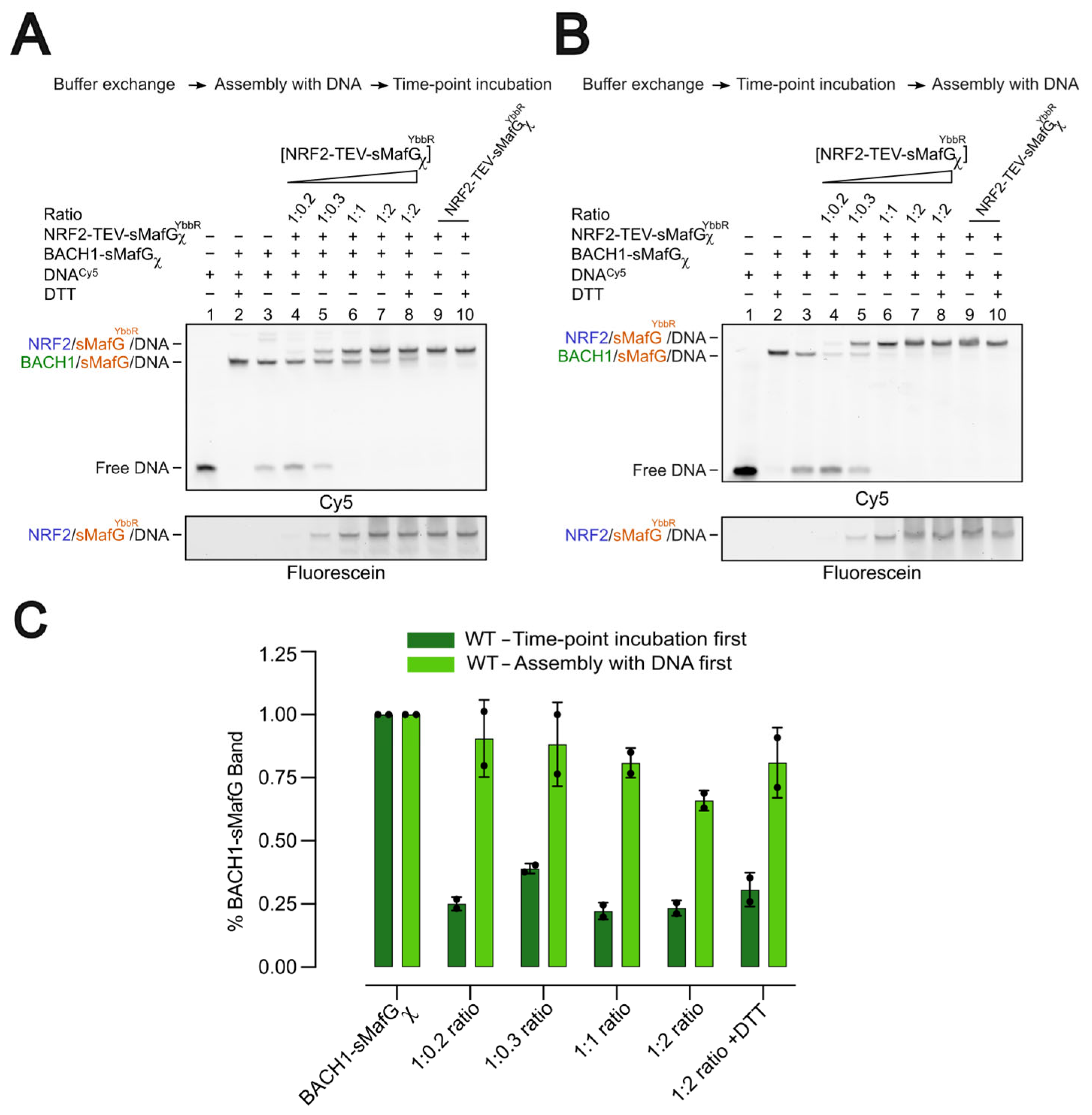 Antioxidants 14 01203 g006