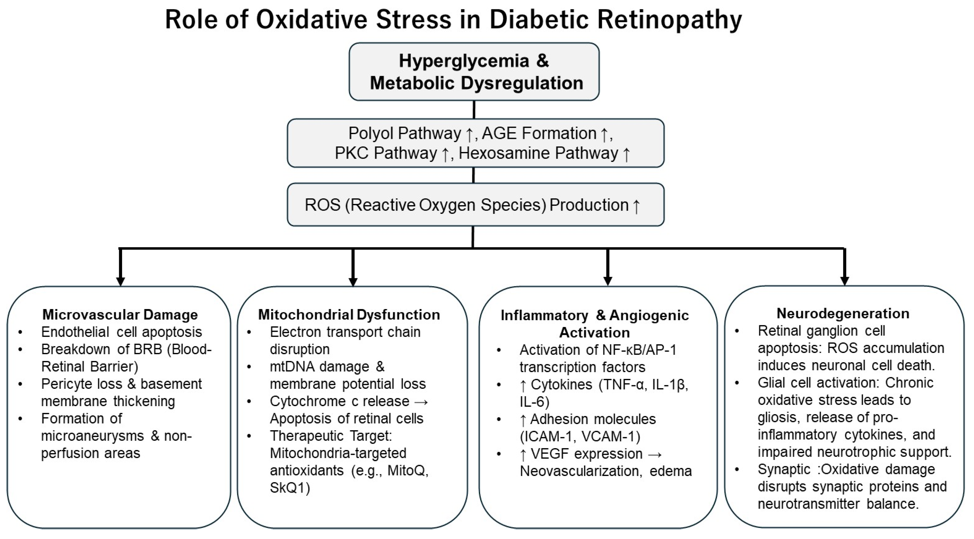 Antioxidants 14 01204 g002