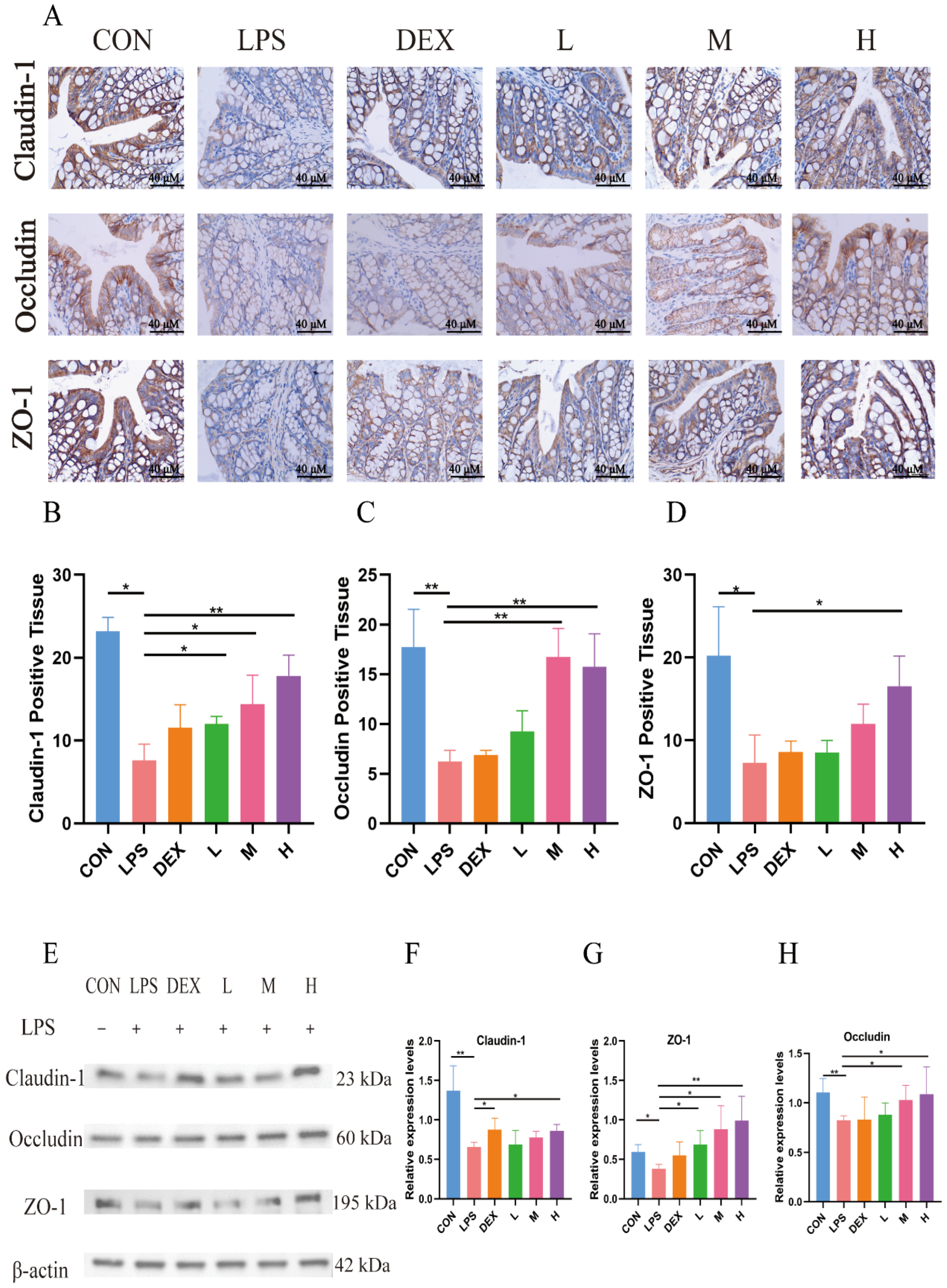 Antioxidants 14 01206 g004 Antioxidants 14 01206 g004