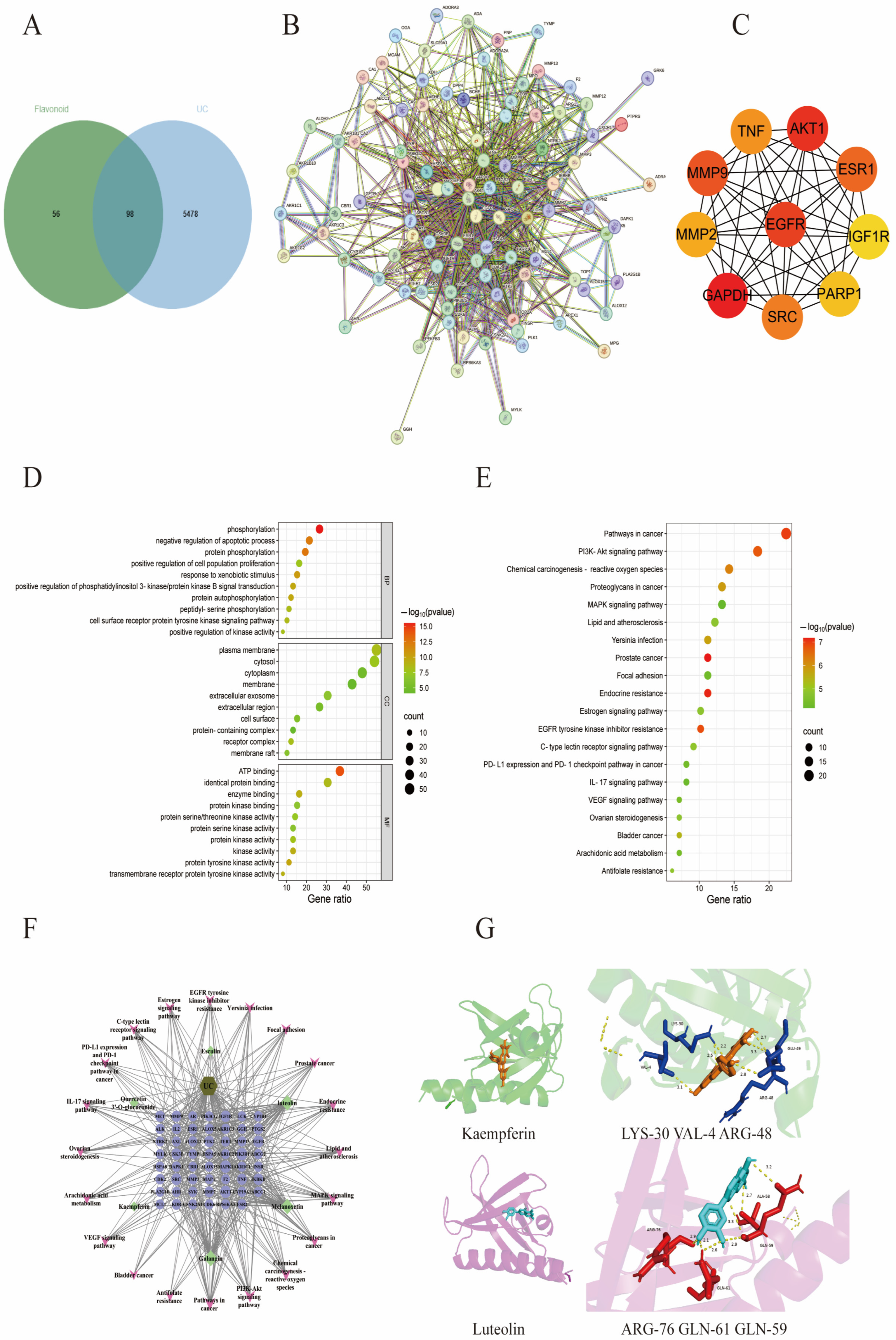Antioxidants 14 01206 g005 Antioxidants 14 01206 g005