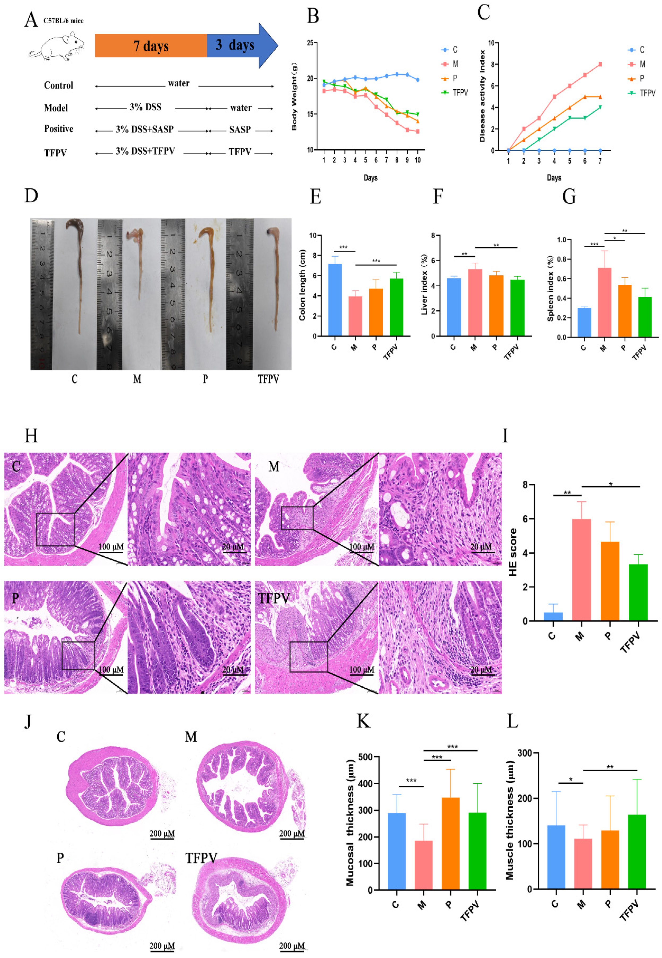 Antioxidants 14 01206 g006 Antioxidants 14 01206 g006
