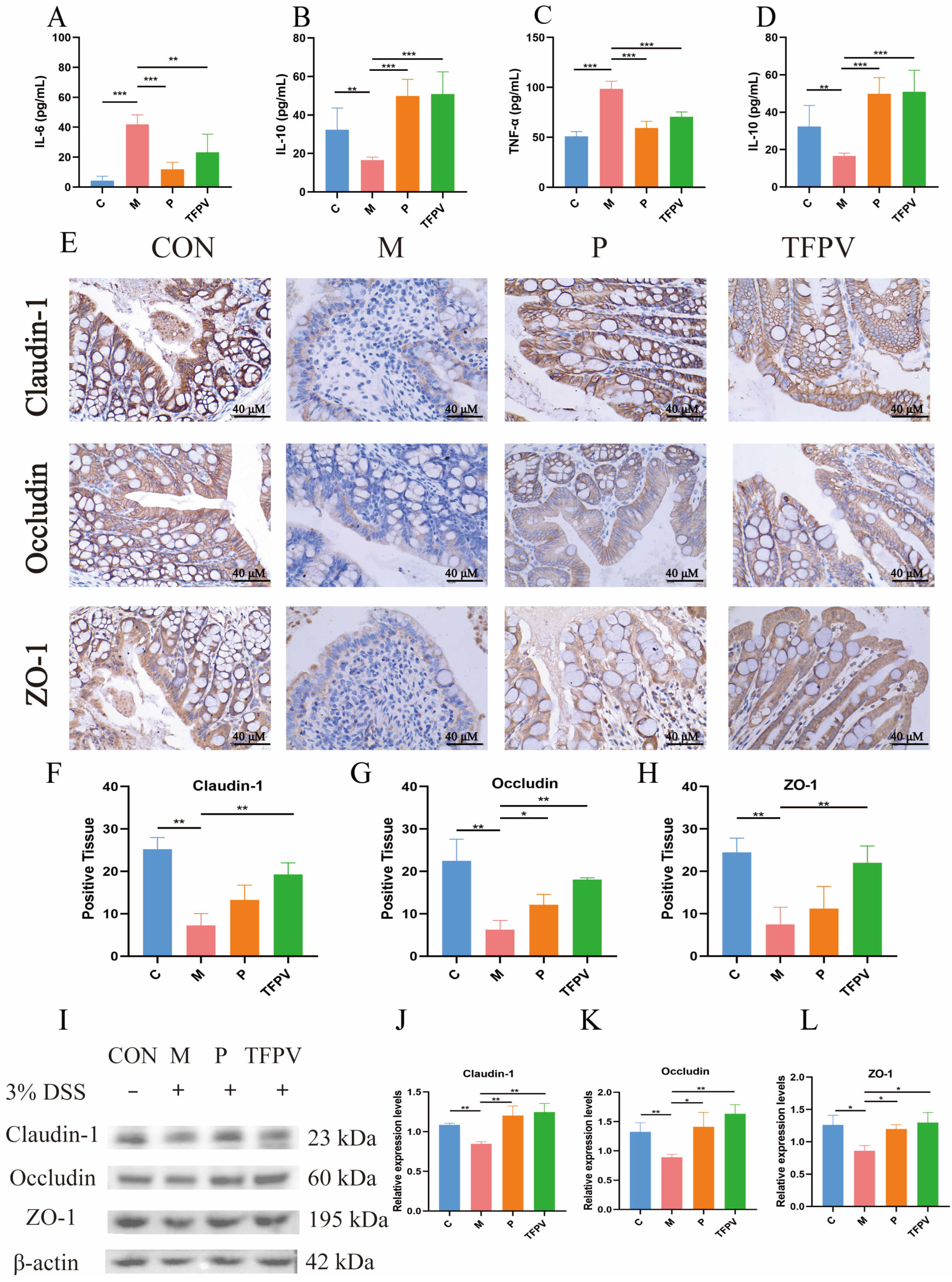 Antioxidants 14 01206 g007 Antioxidants 14 01206 g007