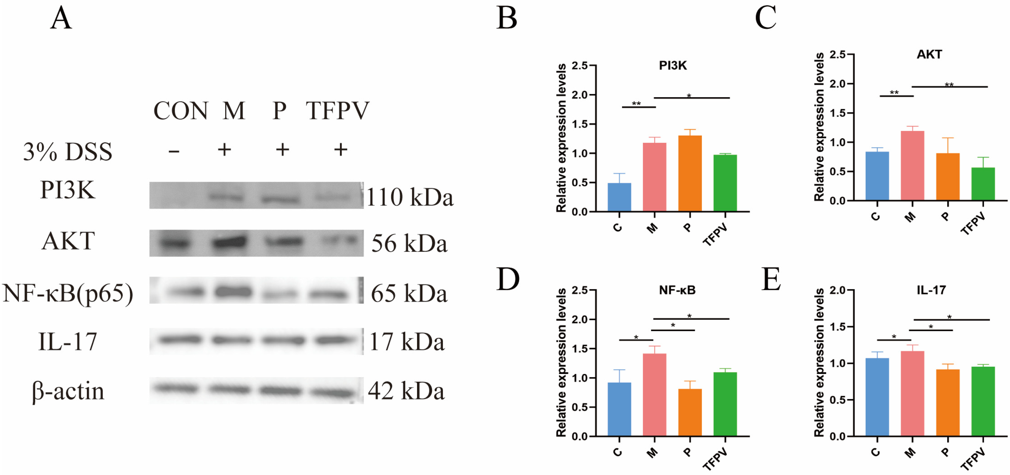 Antioxidants 14 01206 g008 Antioxidants 14 01206 g008