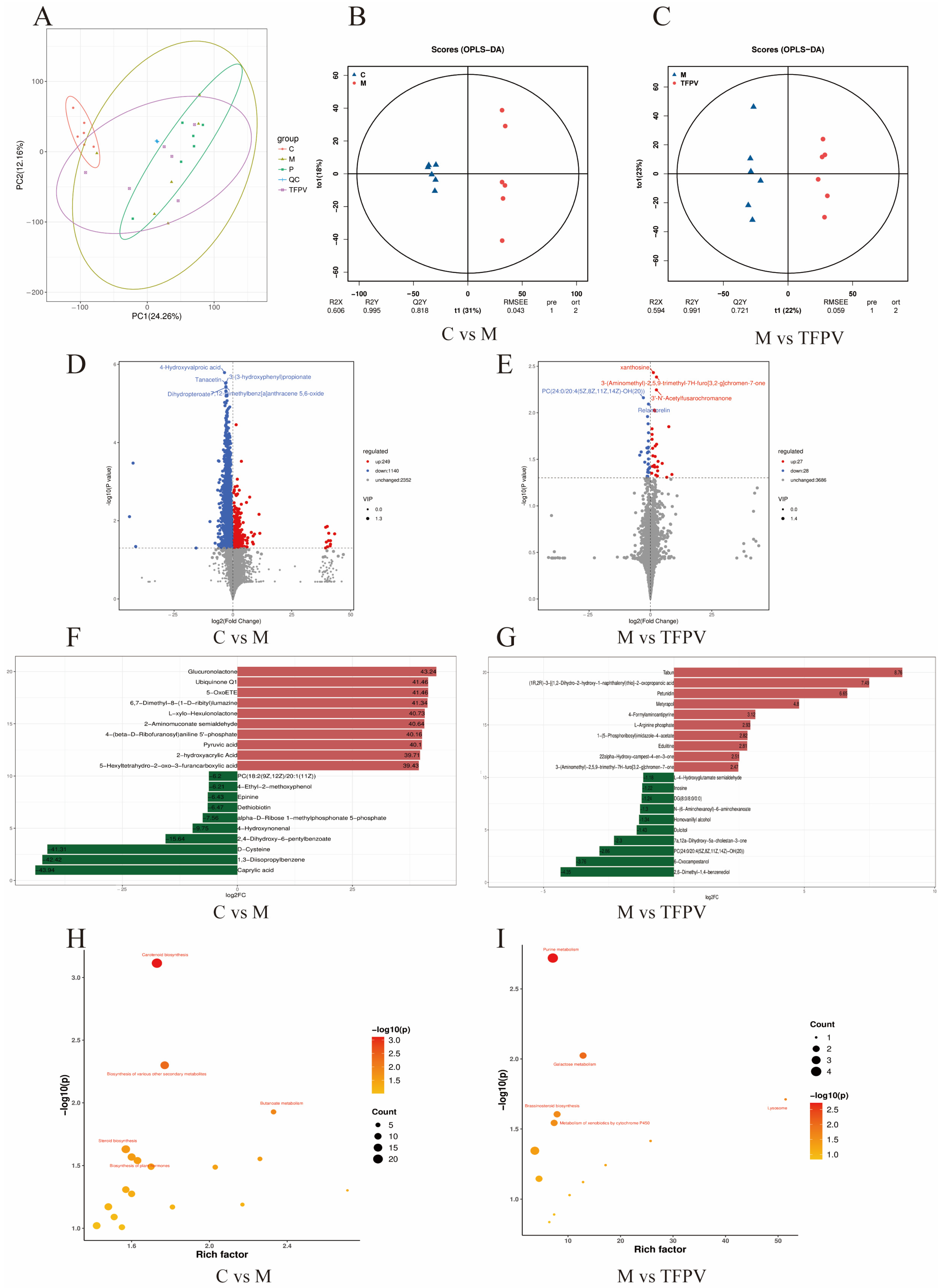 Antioxidants 14 01206 g010 Antioxidants 14 01206 g010