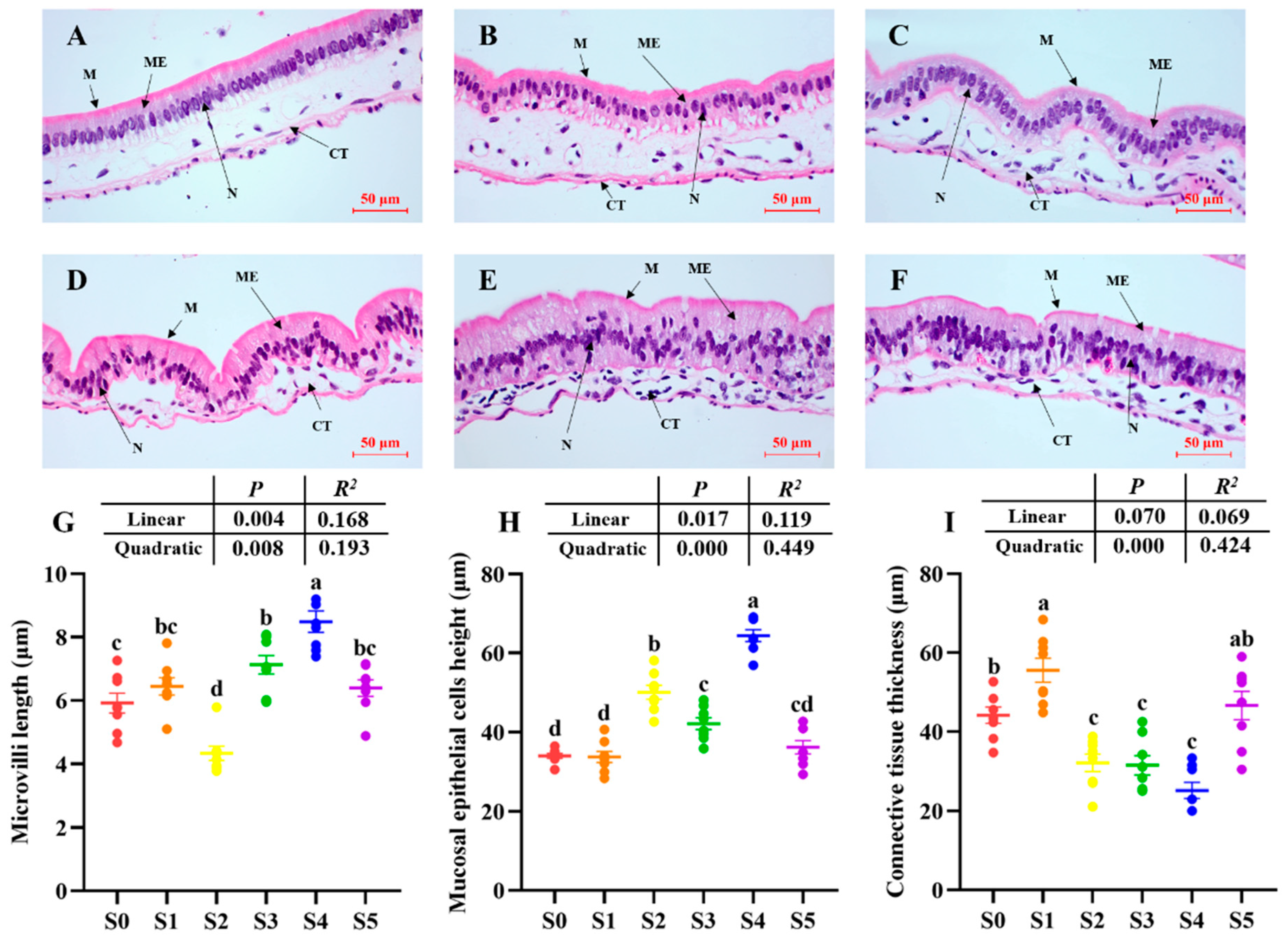 Antioxidants 14 01208 g003