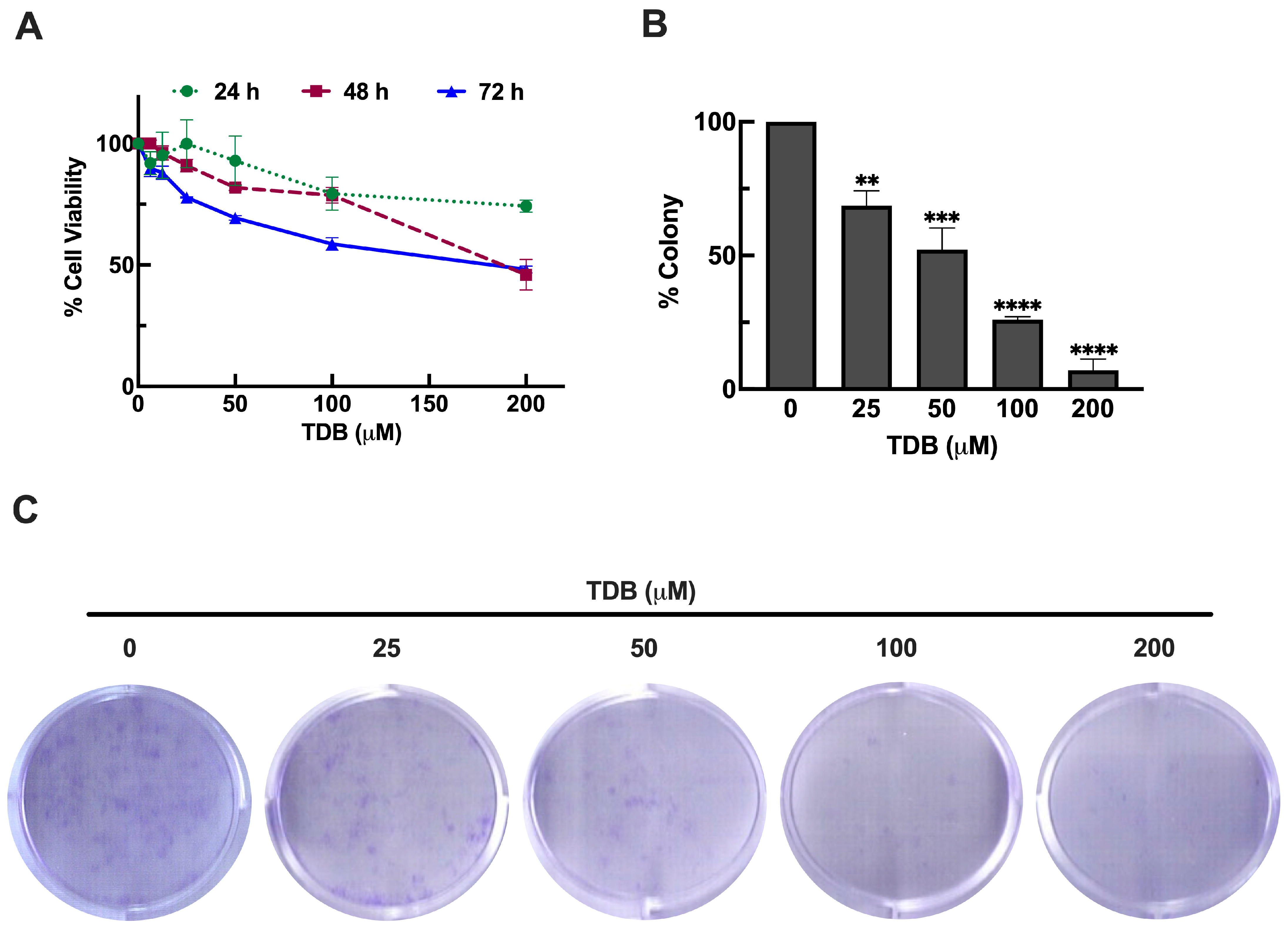 Antioxidants 14 01212 g002
