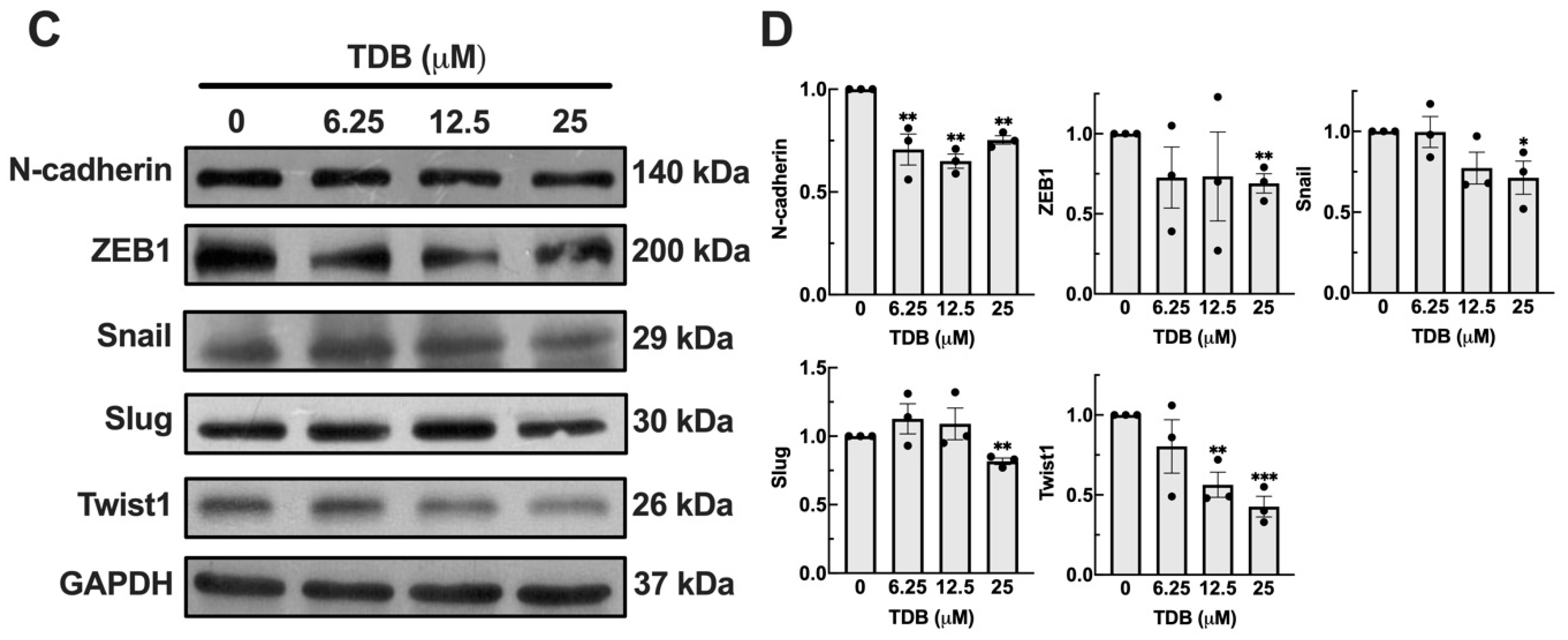 Antioxidants 14 01212 g005b