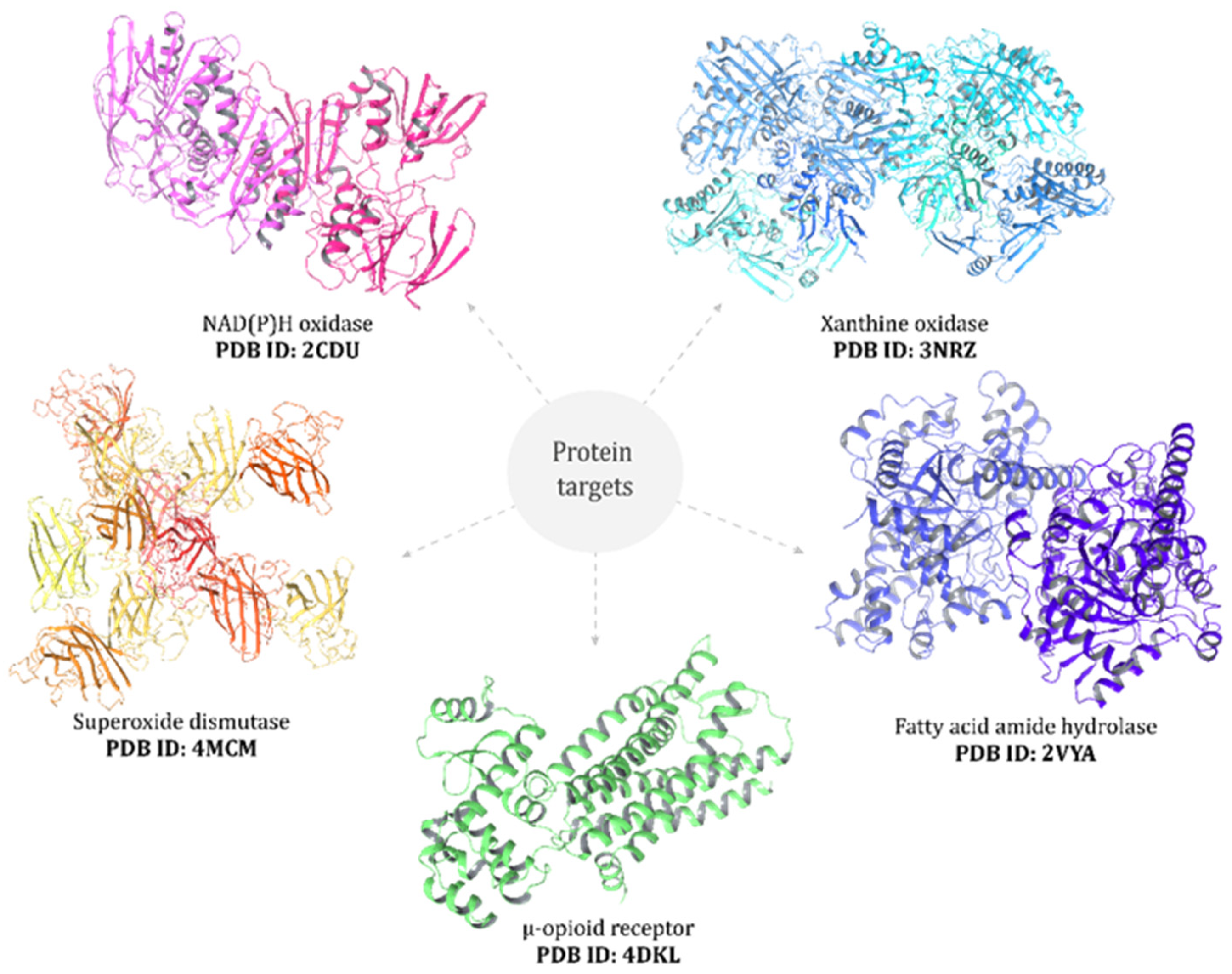 Antioxidants 14 01214 g001 Antioxidants 14 01214 g001