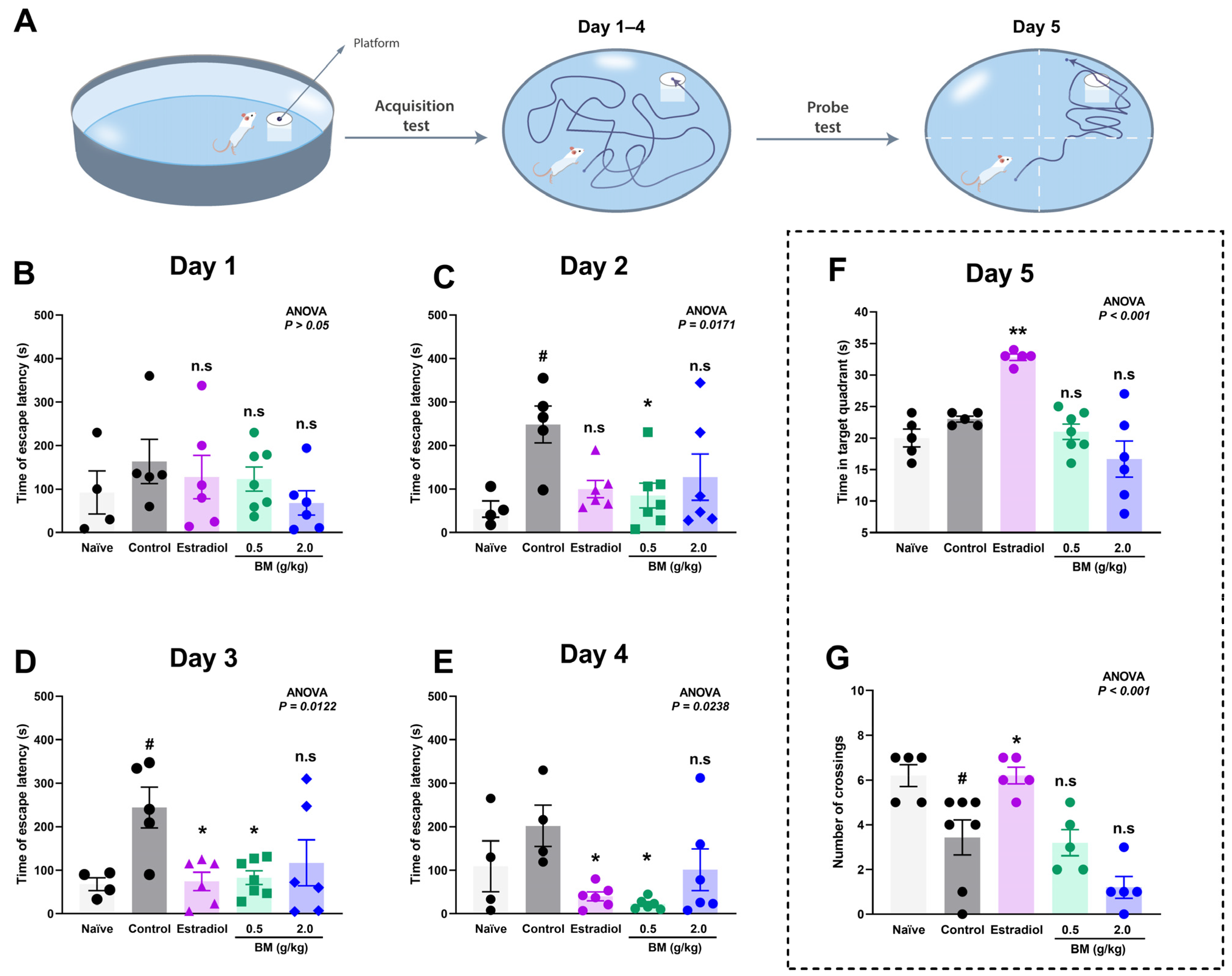 Antioxidants 14 01214 g003 Antioxidants 14 01214 g003