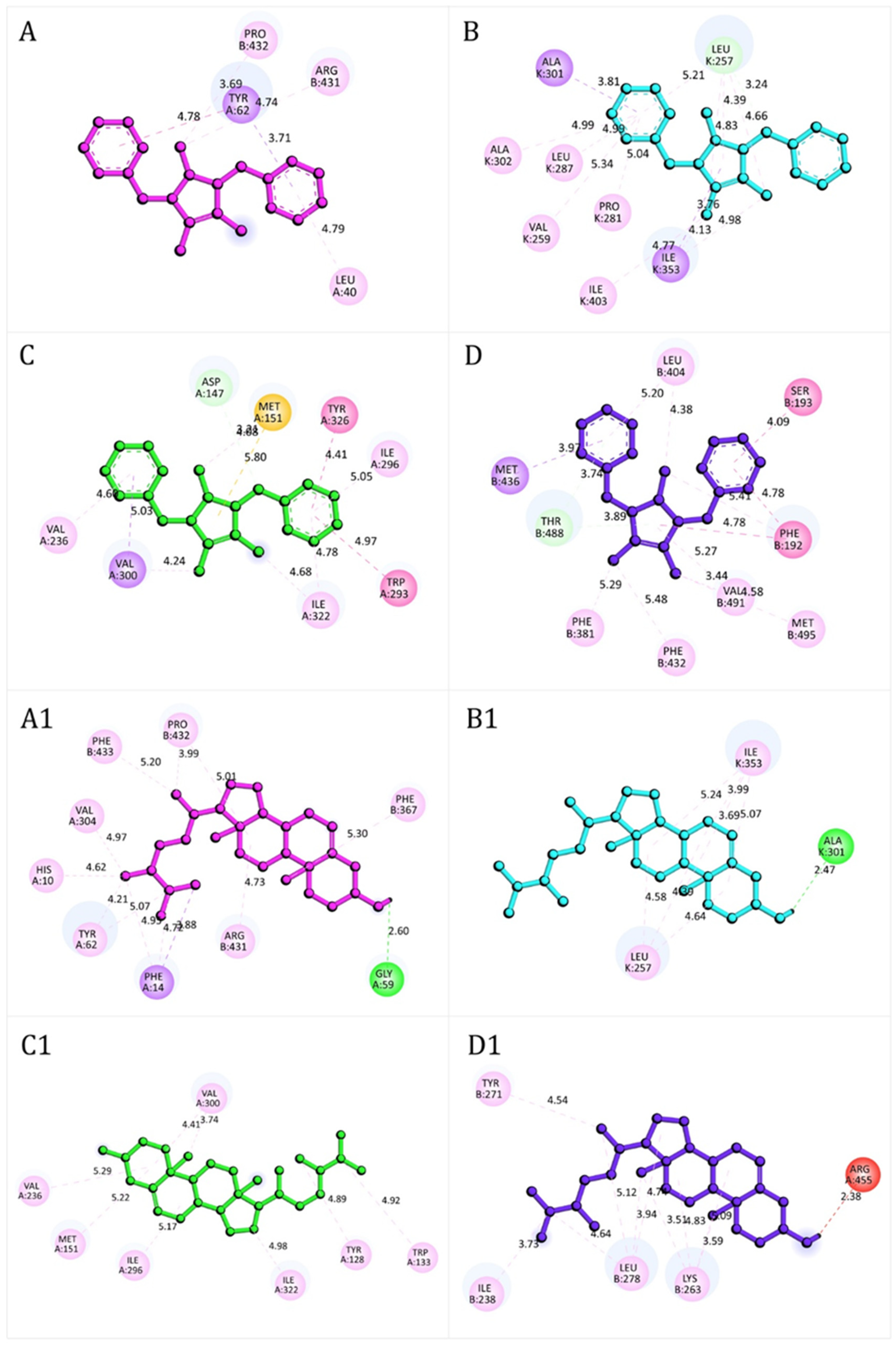 Antioxidants 14 01214 g008 Antioxidants 14 01214 g008