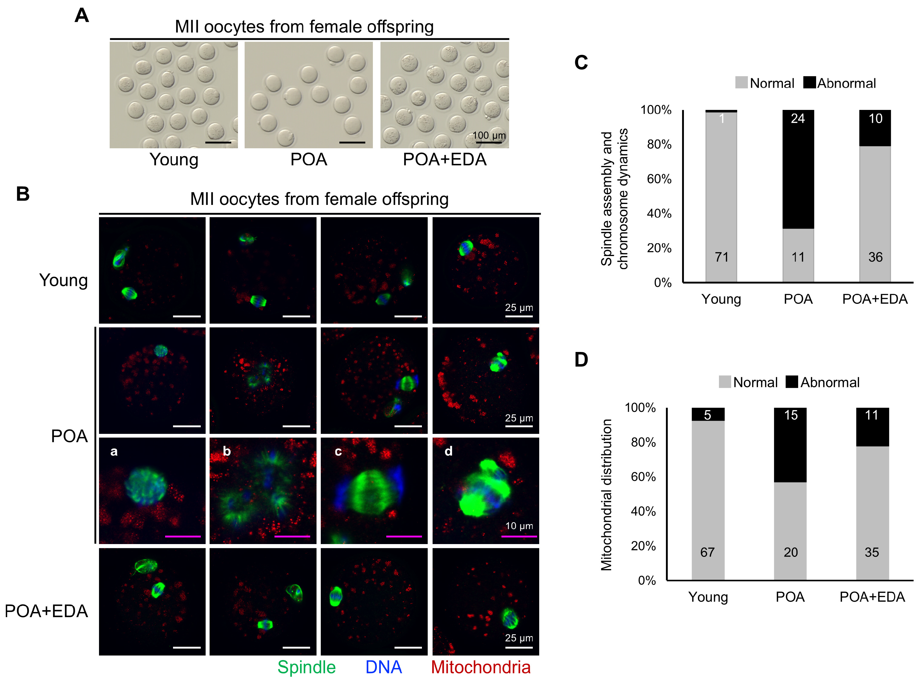 Antioxidants 14 01215 g008