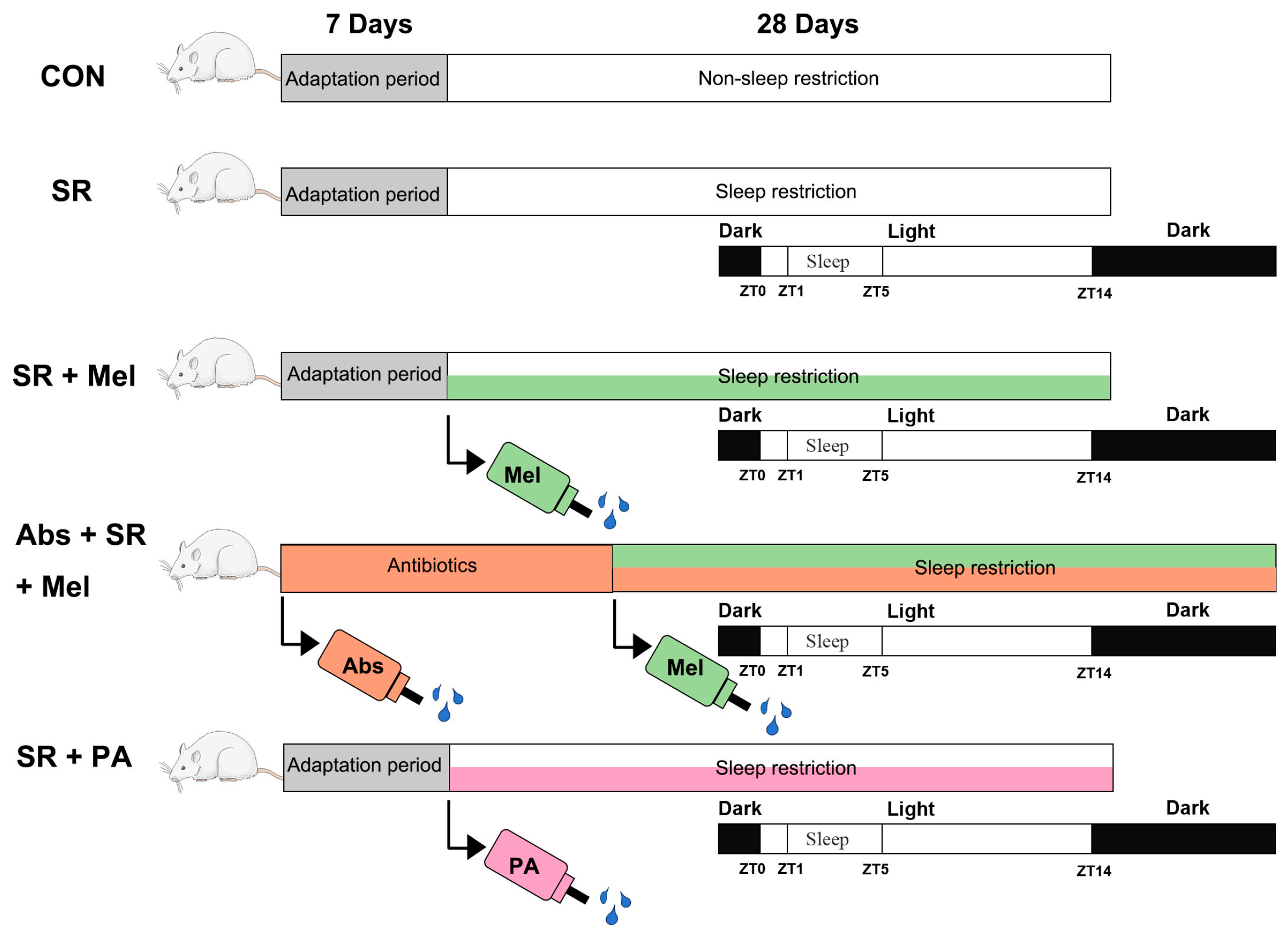 Antioxidants 14 01218 g001 Antioxidants 14 01218 g001