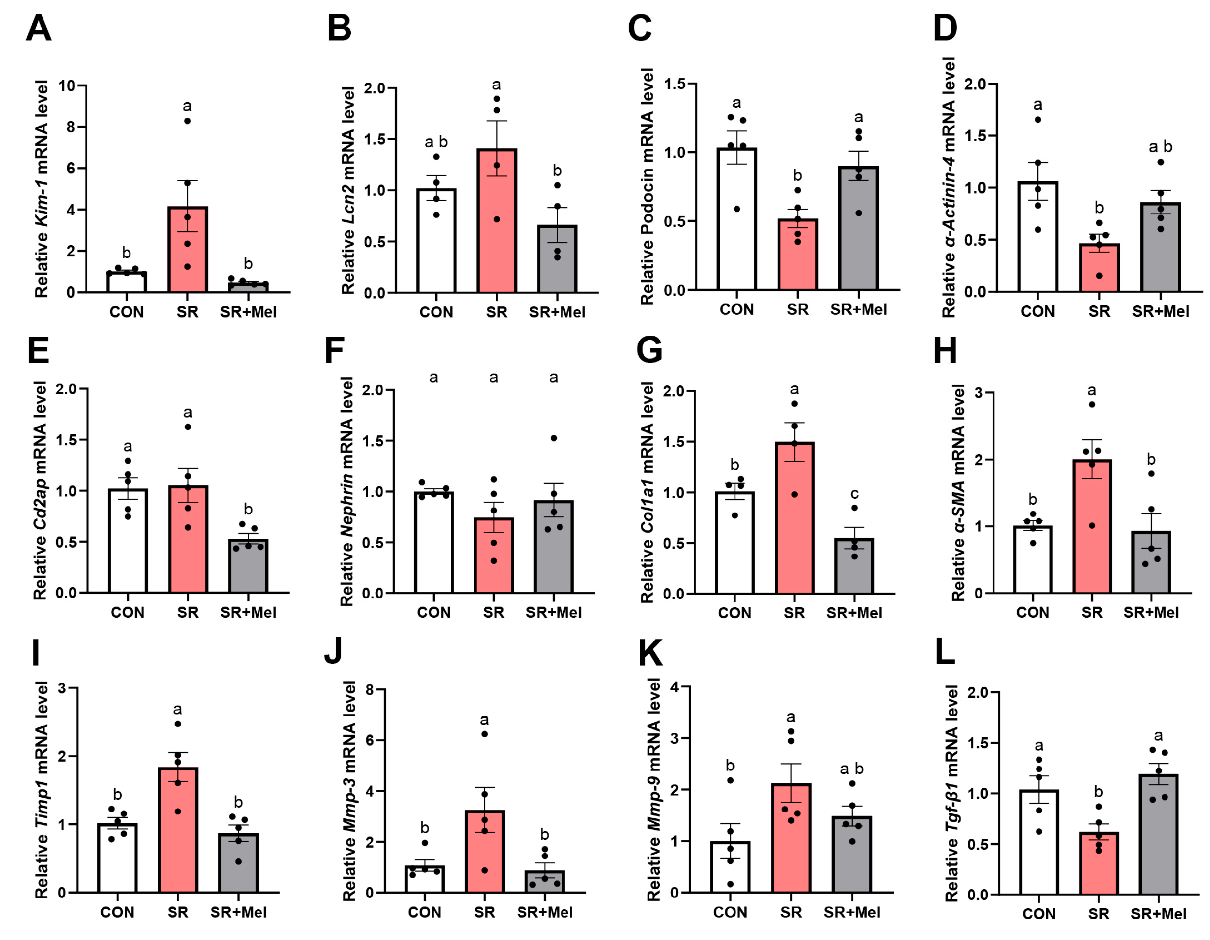 Antioxidants 14 01218 g004 Antioxidants 14 01218 g004