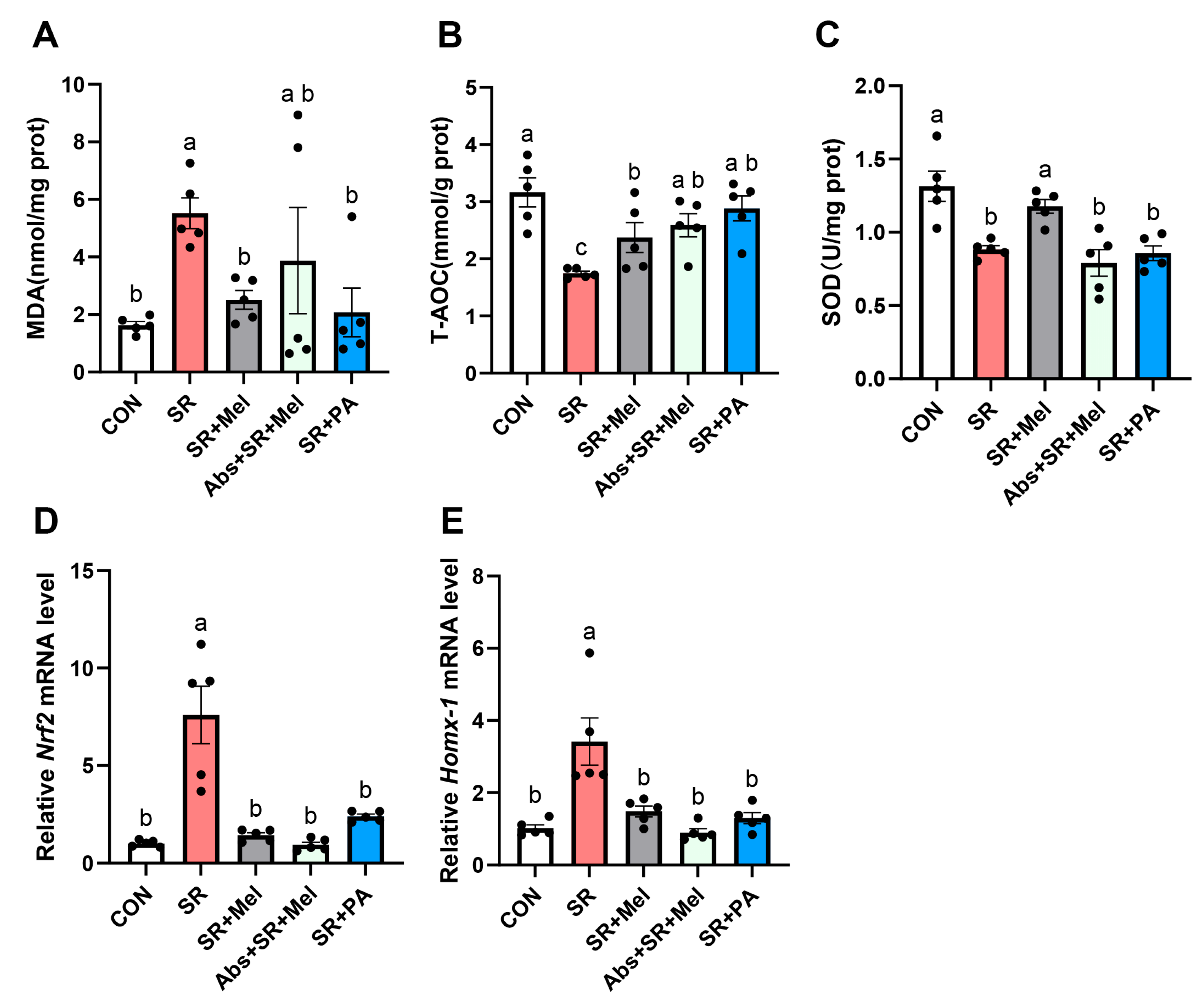 Antioxidants 14 01218 g007 Antioxidants 14 01218 g007