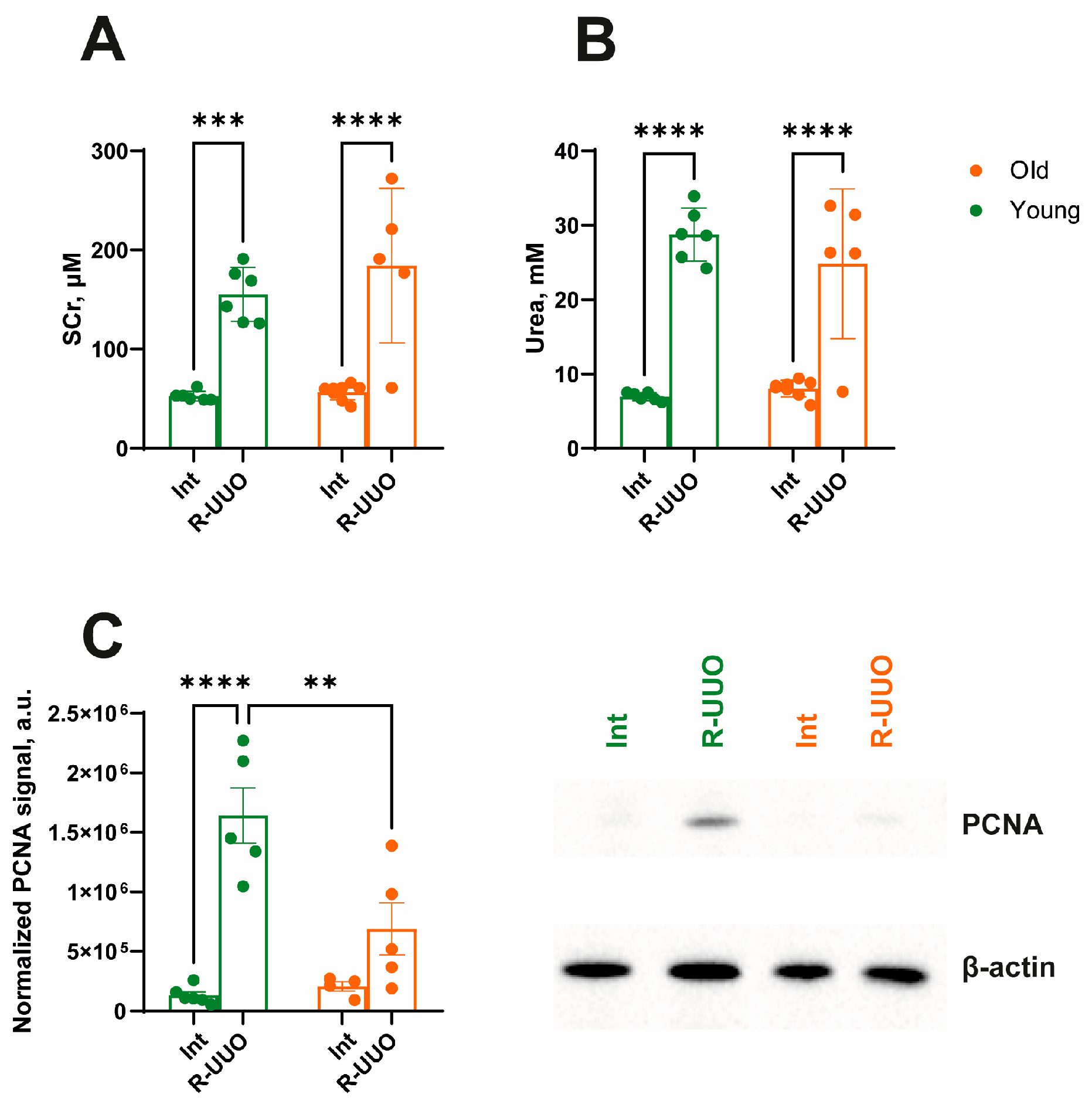 Antioxidants 14 01219 g002 Antioxidants 14 01219 g002