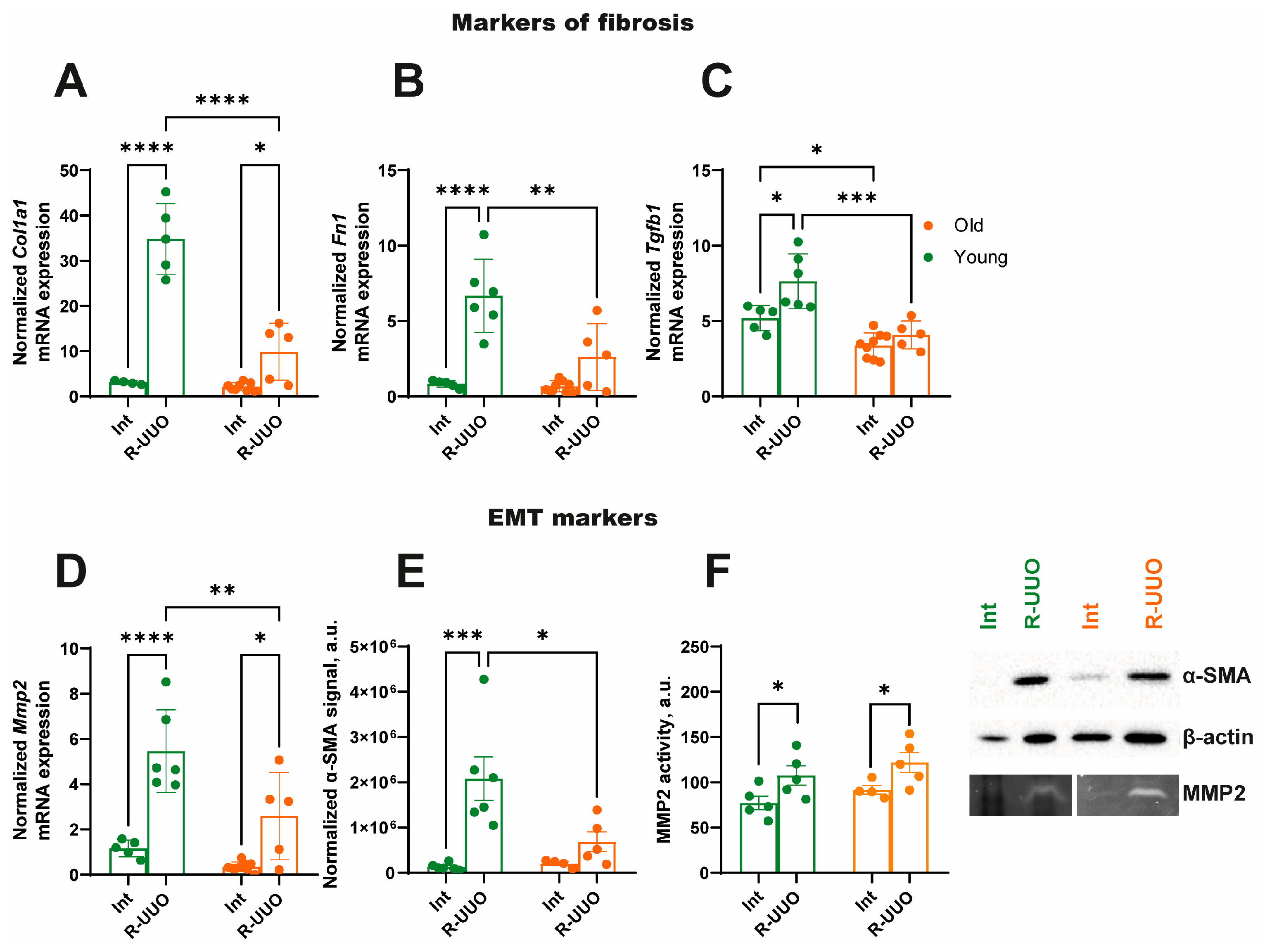 Antioxidants 14 01219 g003 Antioxidants 14 01219 g003