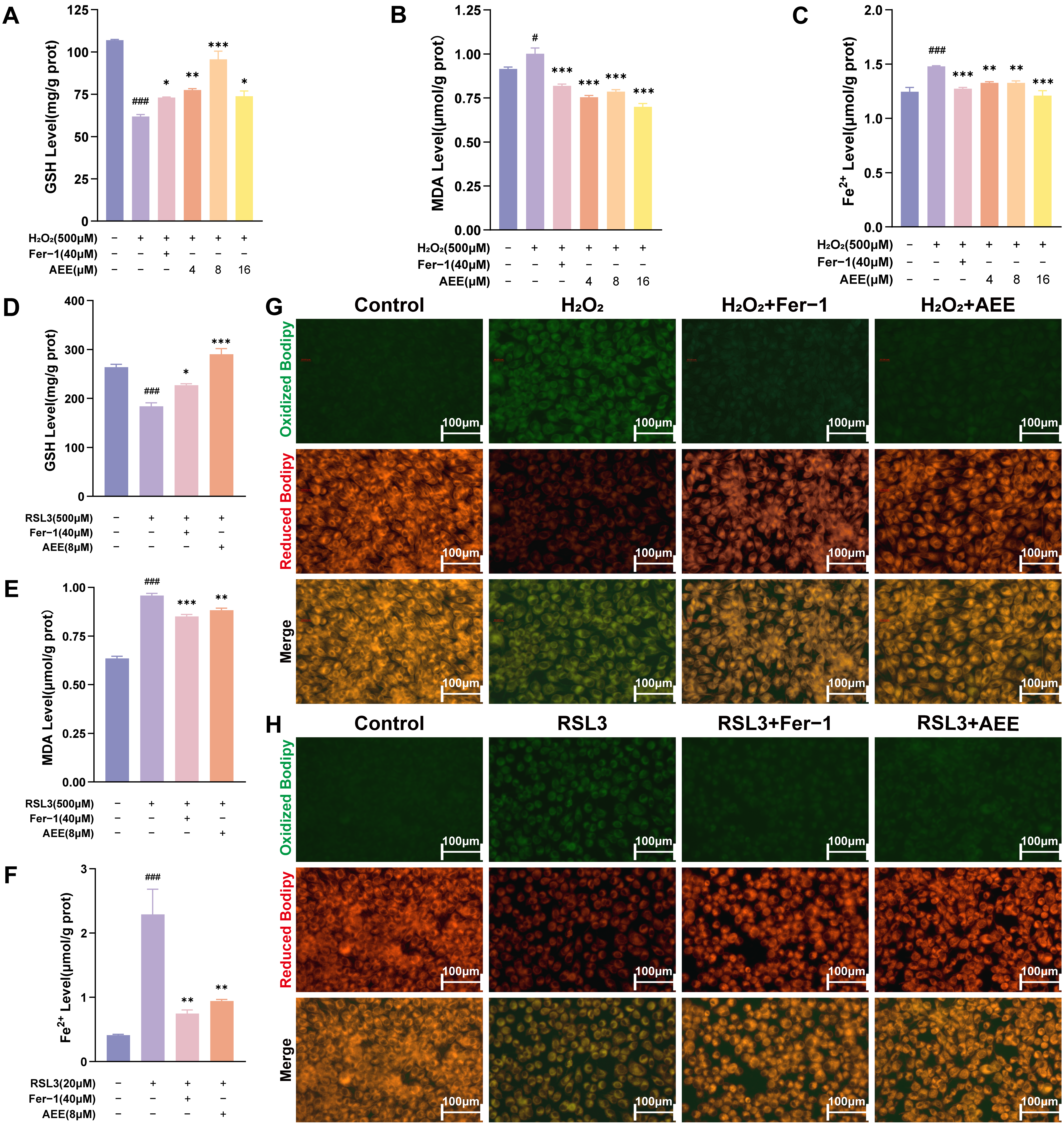 Antioxidants 14 01220 g002
