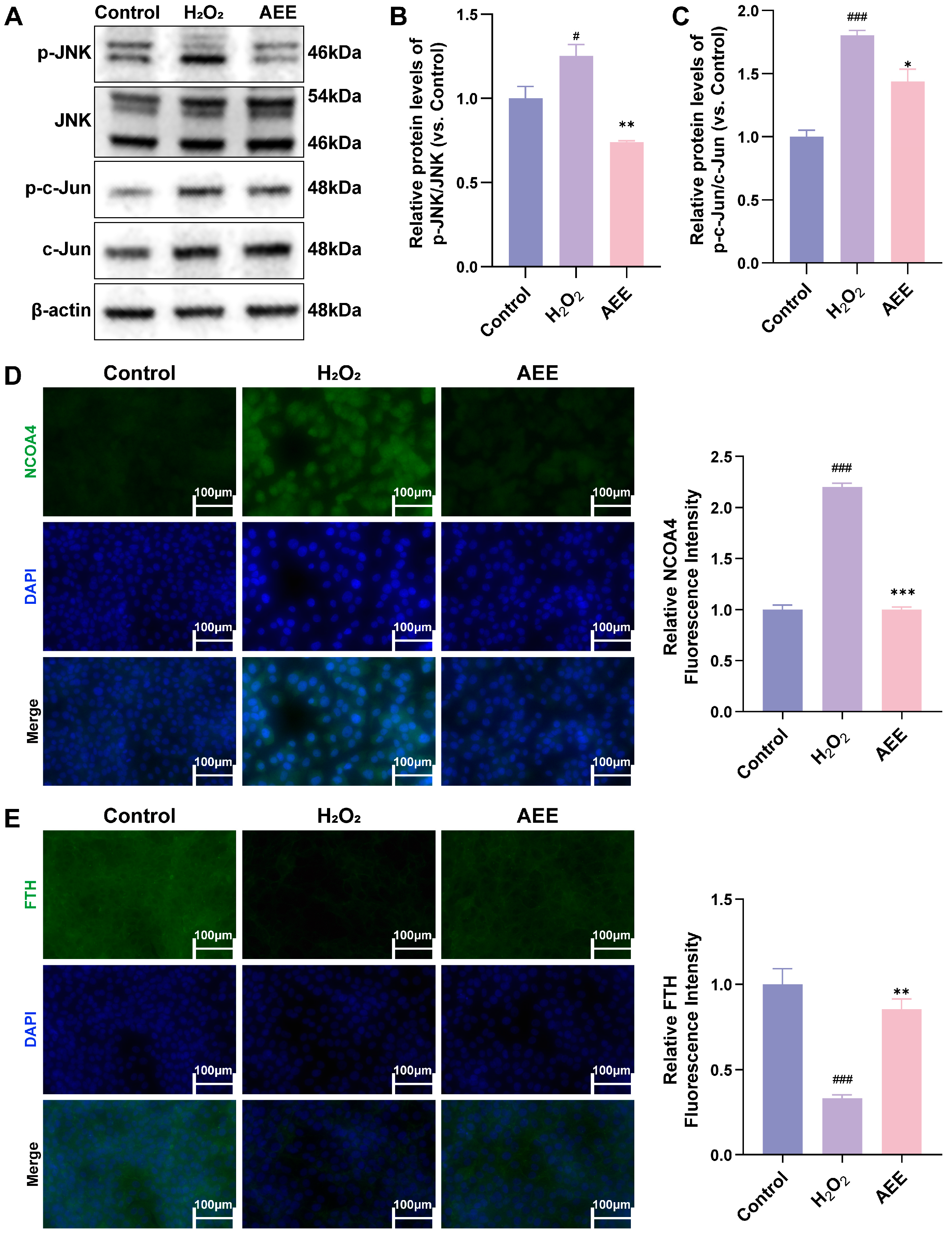 Antioxidants 14 01220 g007