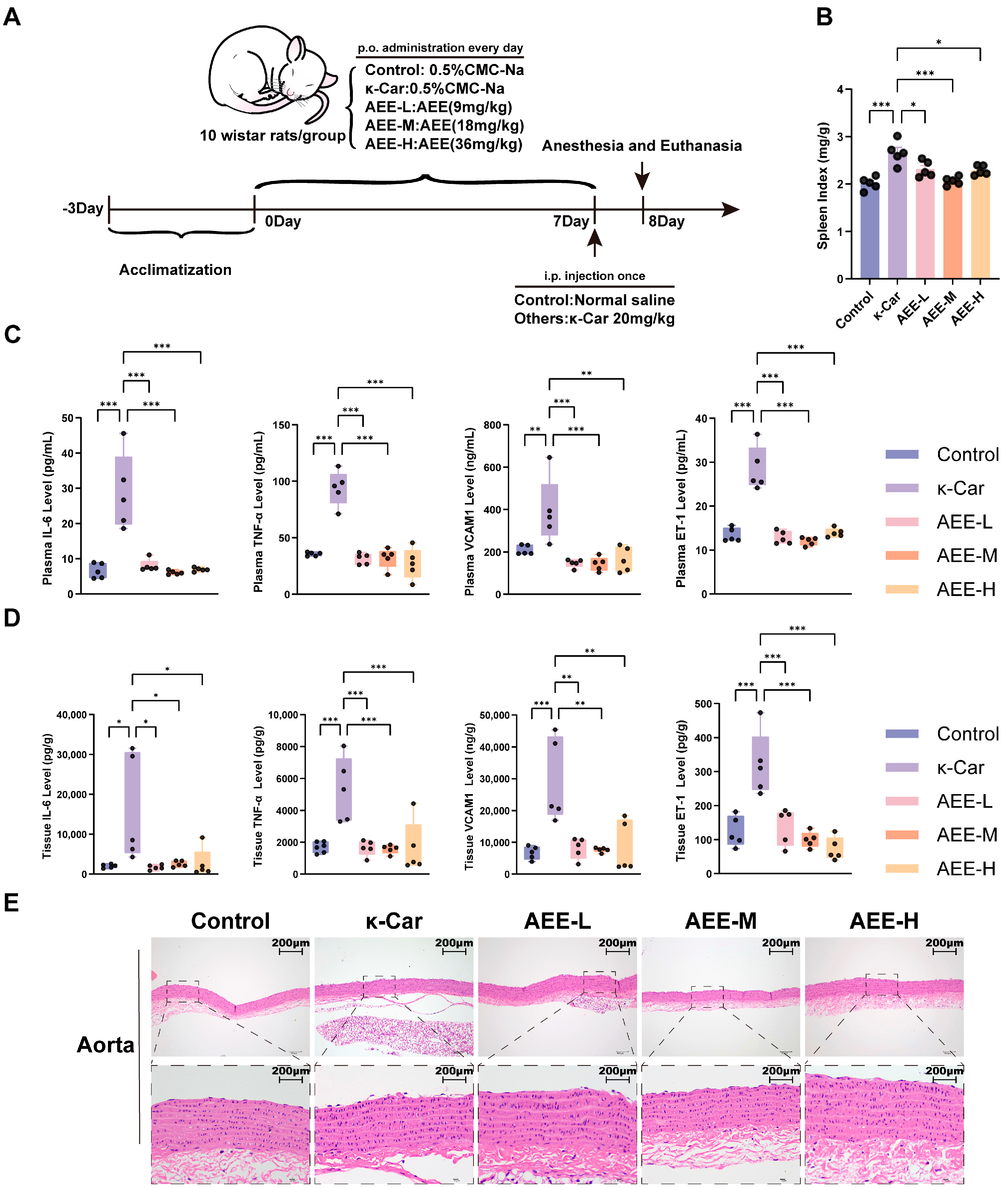 Antioxidants 14 01220 g008