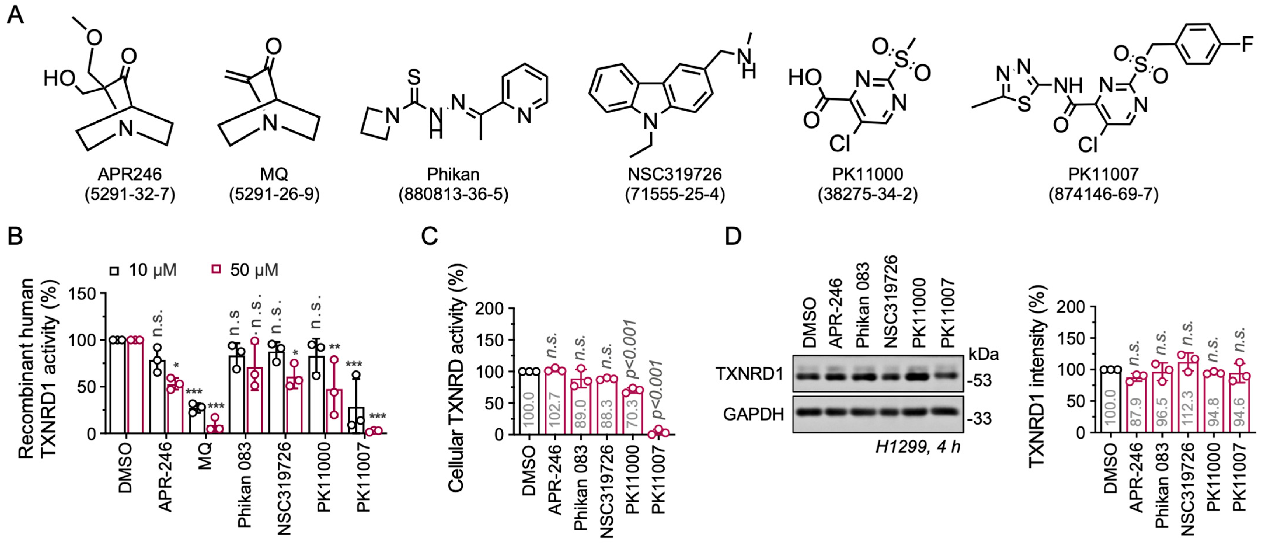 Antioxidants 14 01222 g001