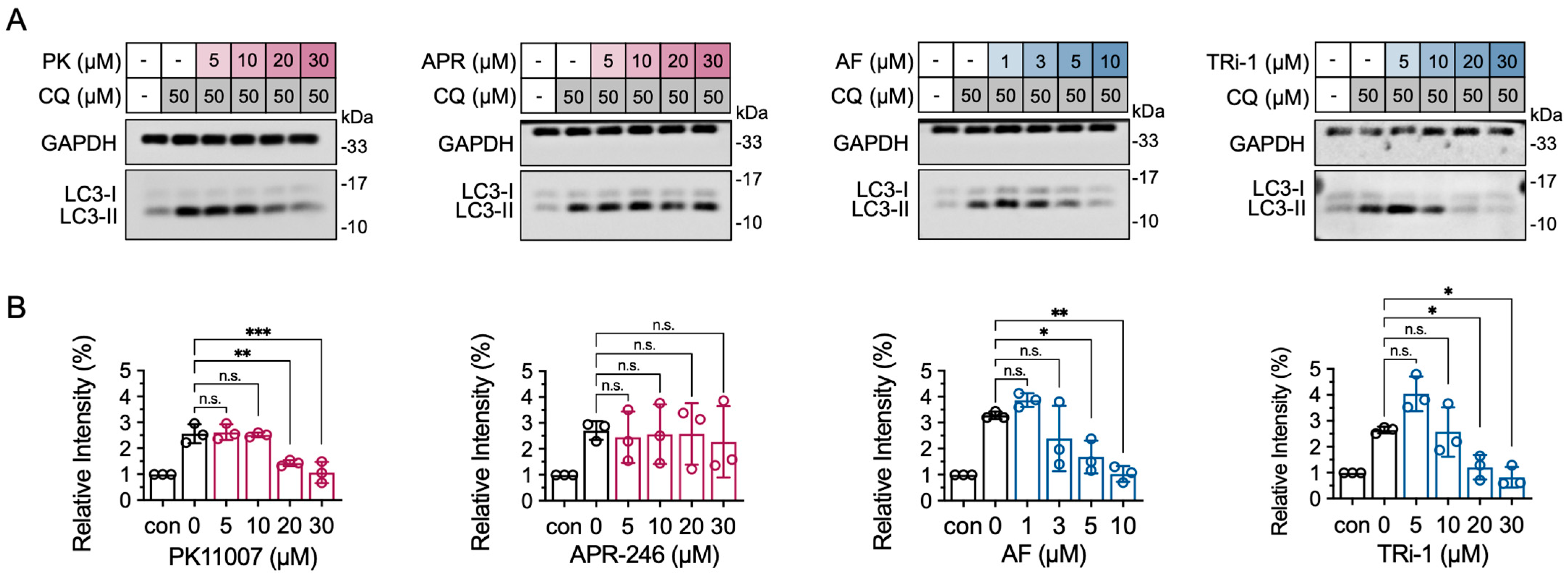Antioxidants 14 01222 g005