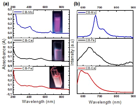 Antioxidants 14 01227 g001 Antioxidants 14 01227 g001