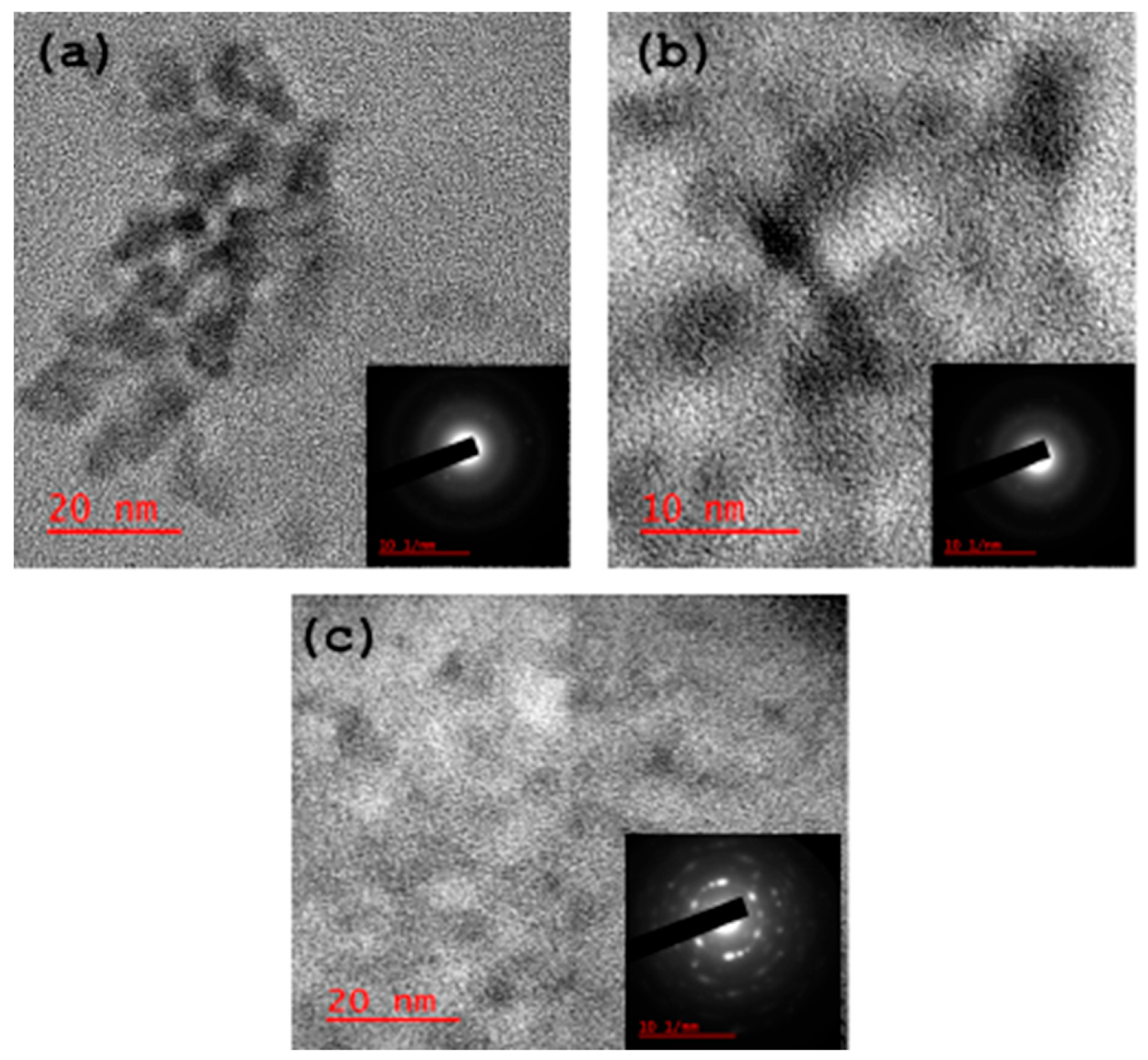 Antioxidants 14 01227 g003 Antioxidants 14 01227 g003