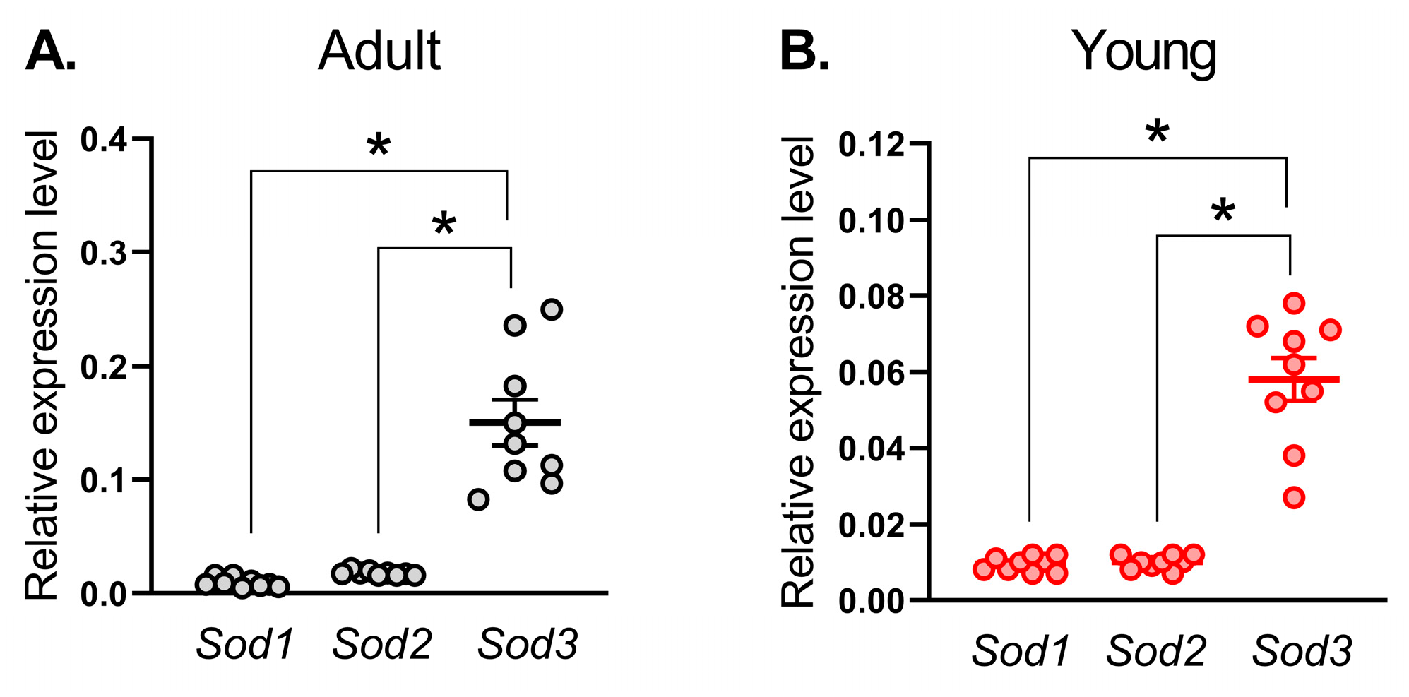 Antioxidants 14 01231 g001