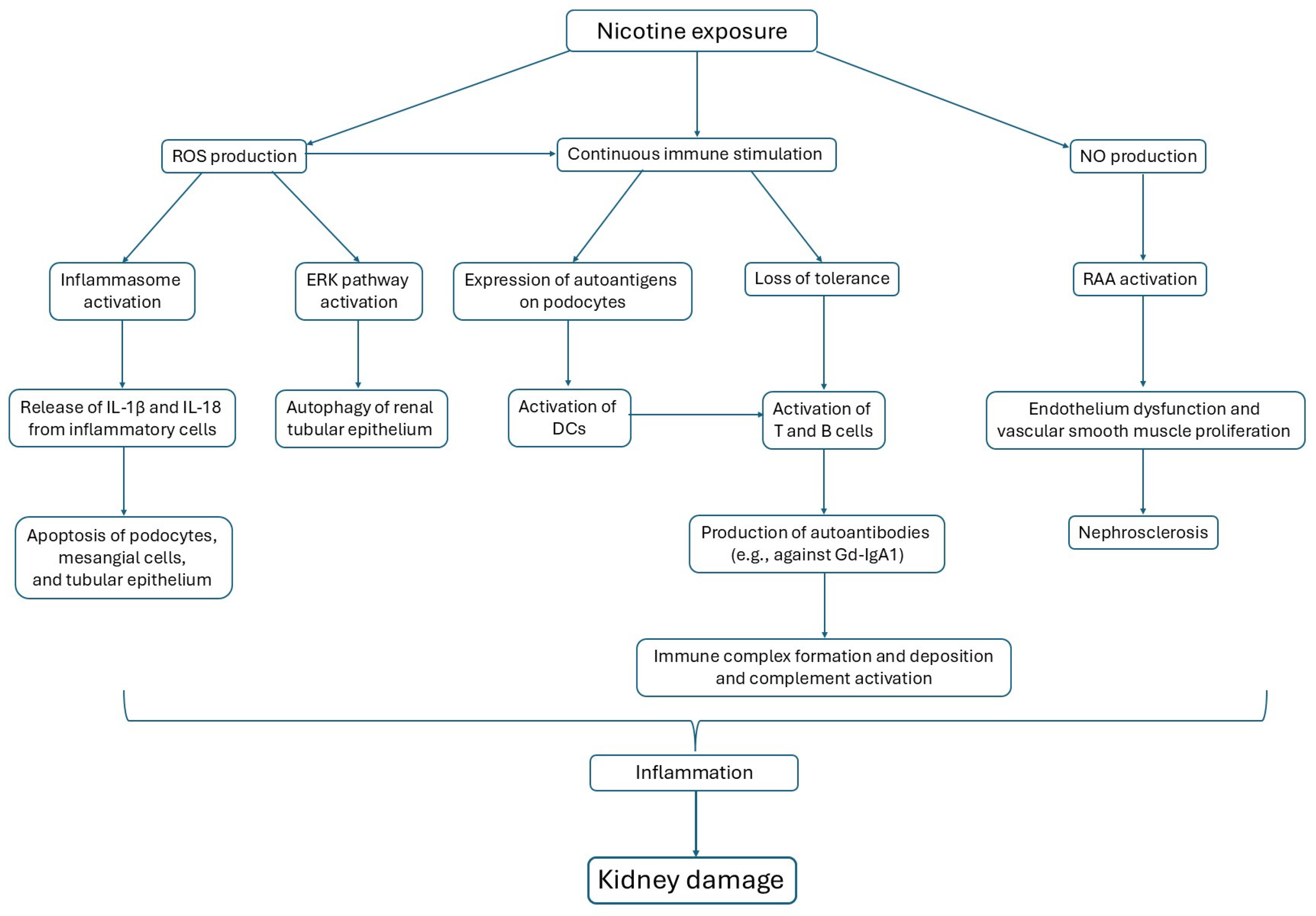 Antioxidants 14 01233 g001