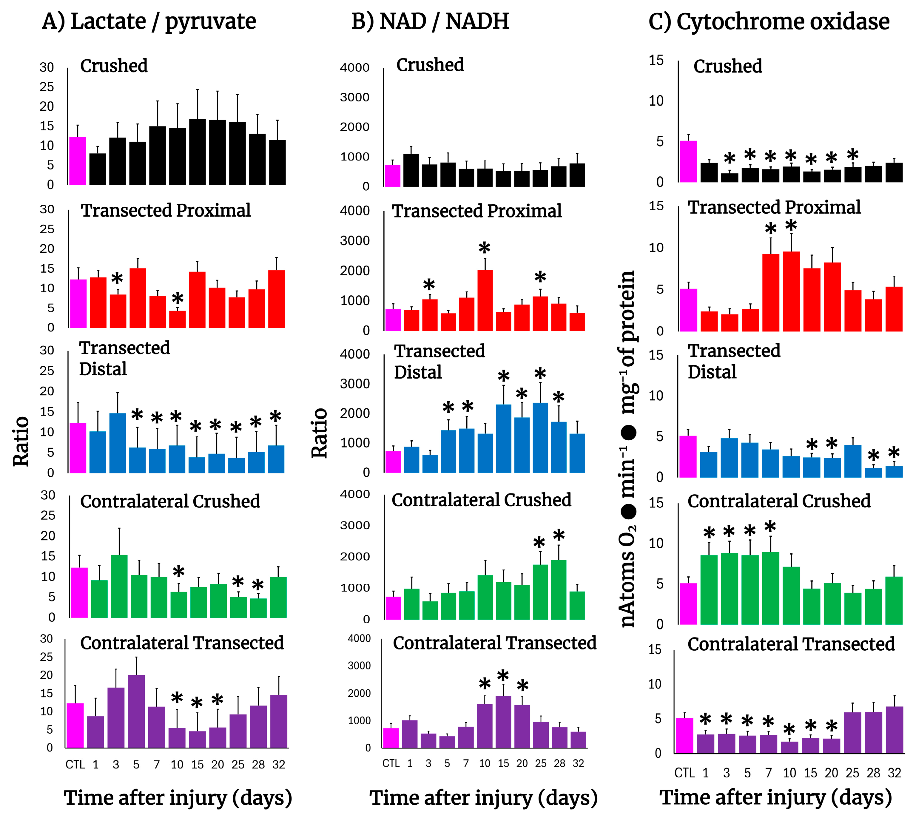 Antioxidants 14 01236 g005 Antioxidants 14 01236 g005