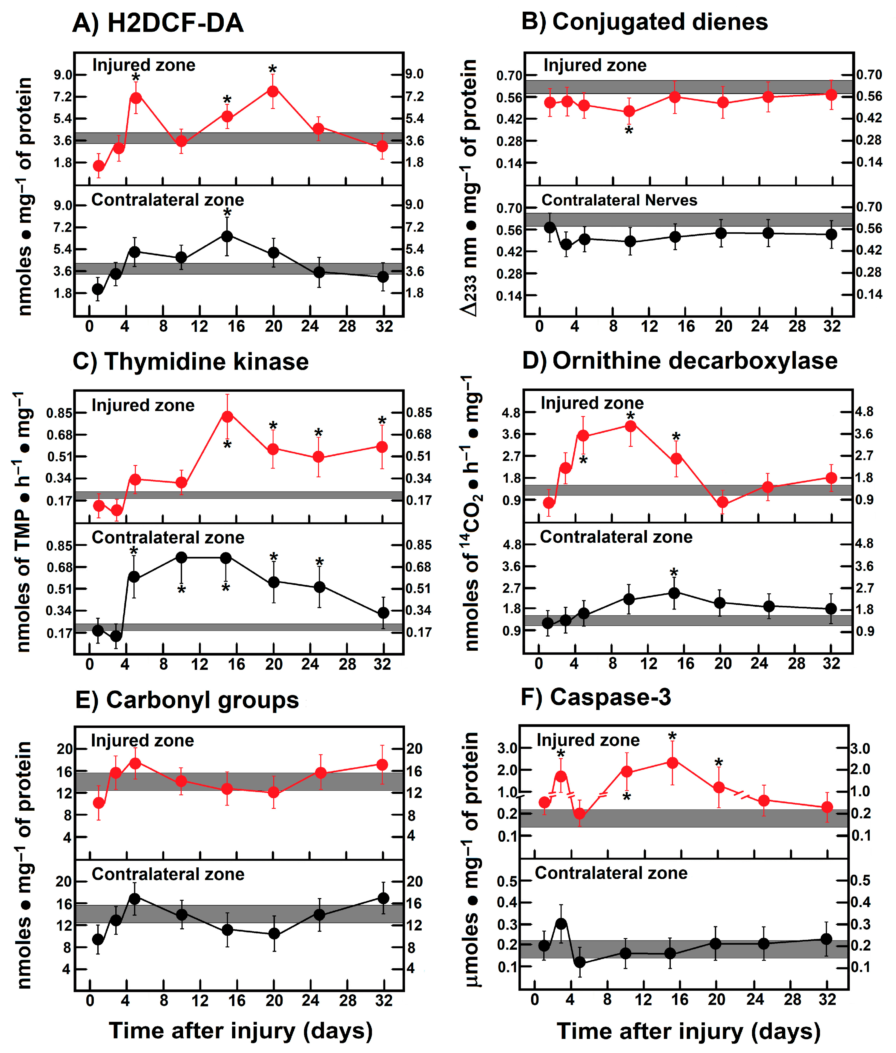 Antioxidants 14 01236 g006 Antioxidants 14 01236 g006