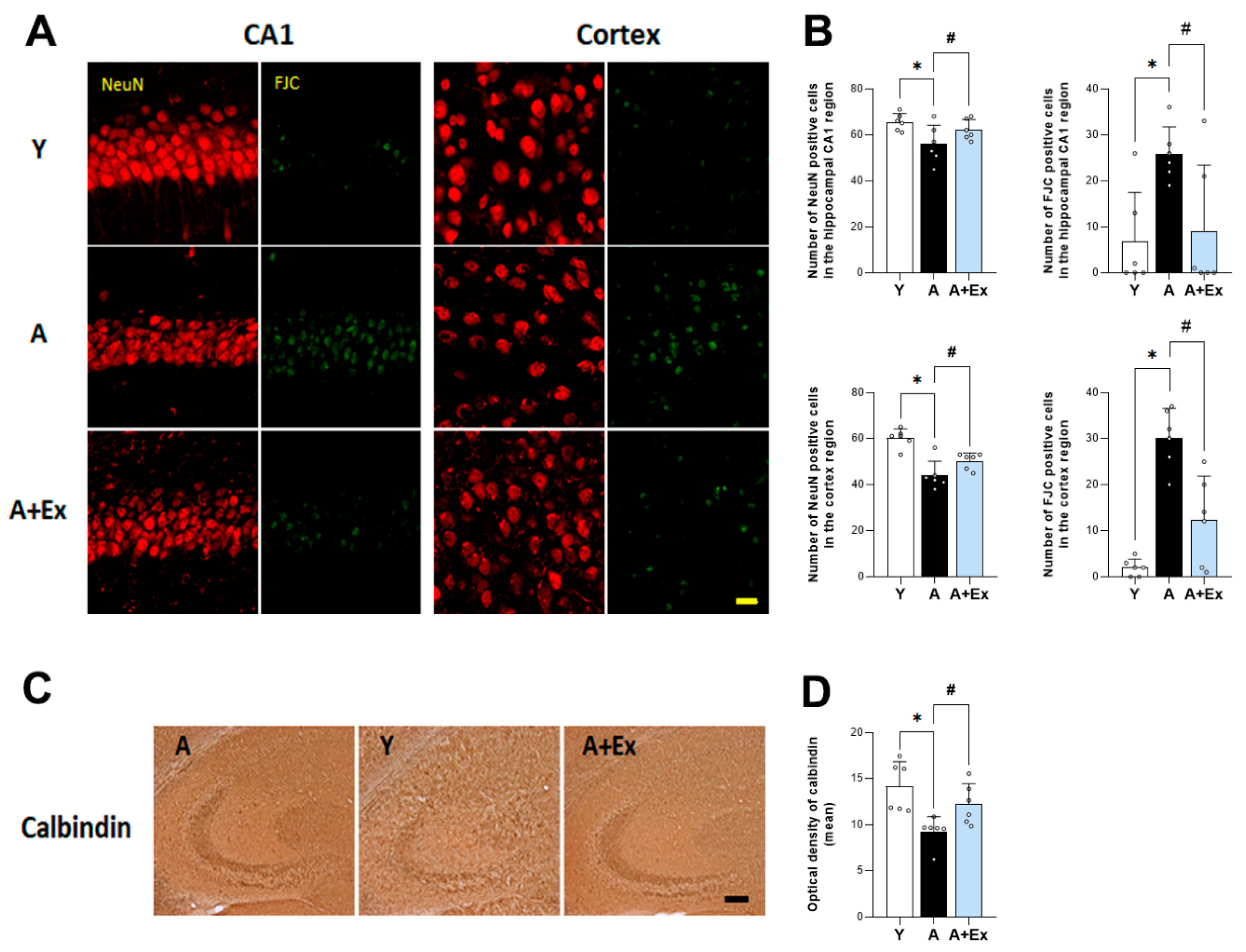 Antioxidants 14 01239 g003