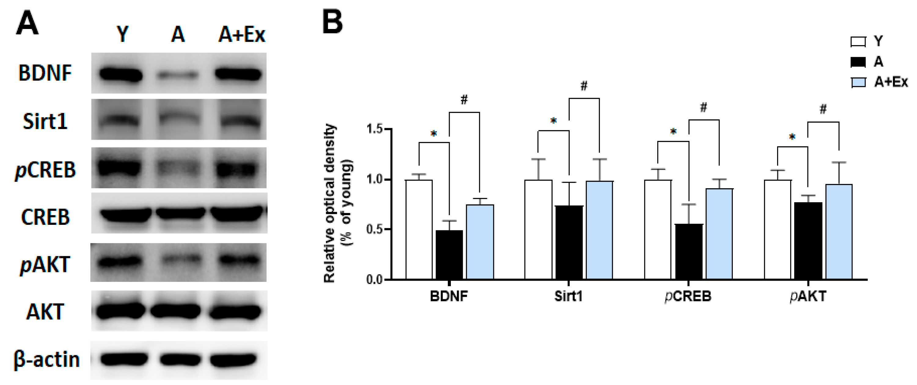 Antioxidants 14 01239 g006