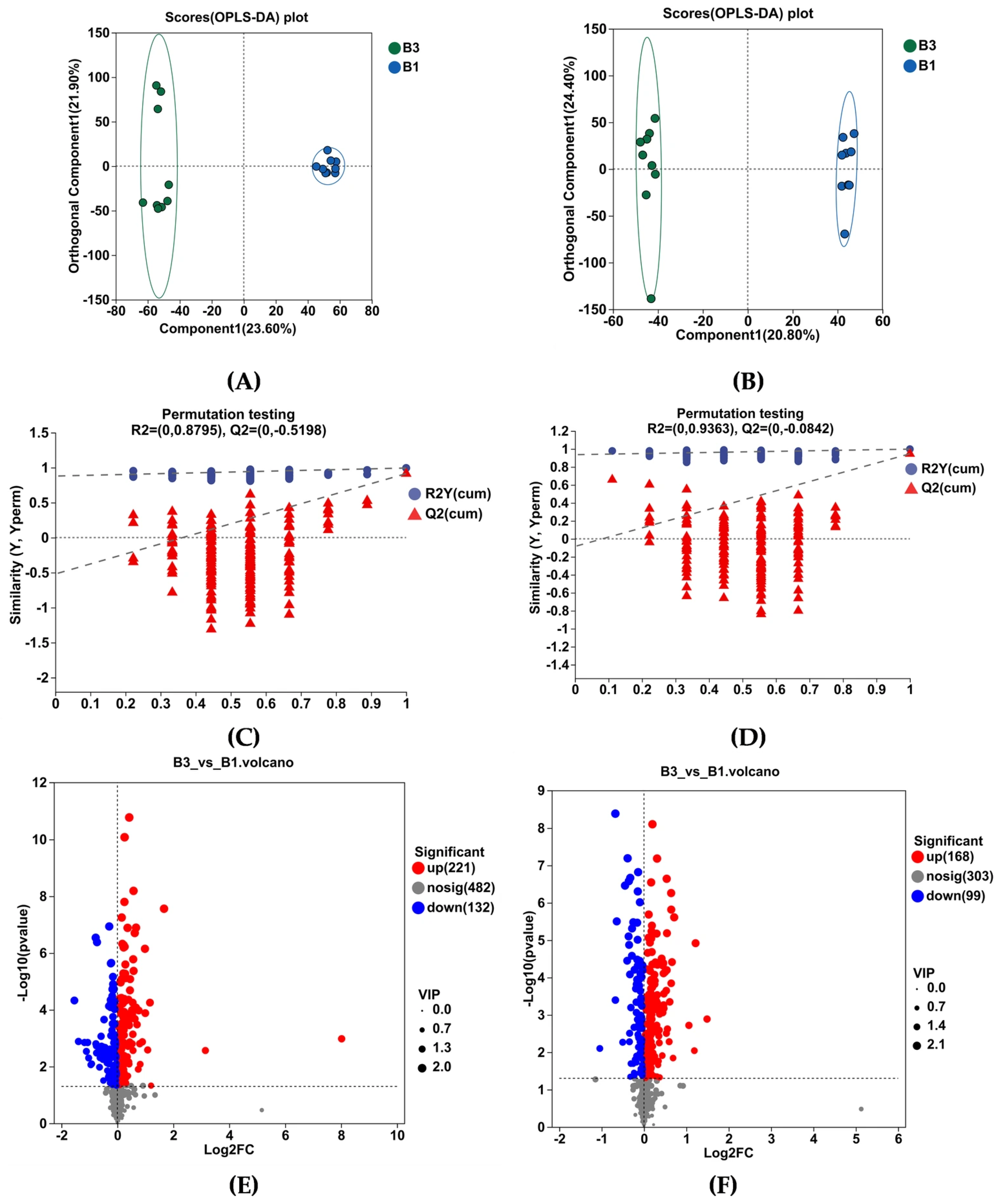 Antioxidants 14 01253 g005a Antioxidants 14 01253 g005a