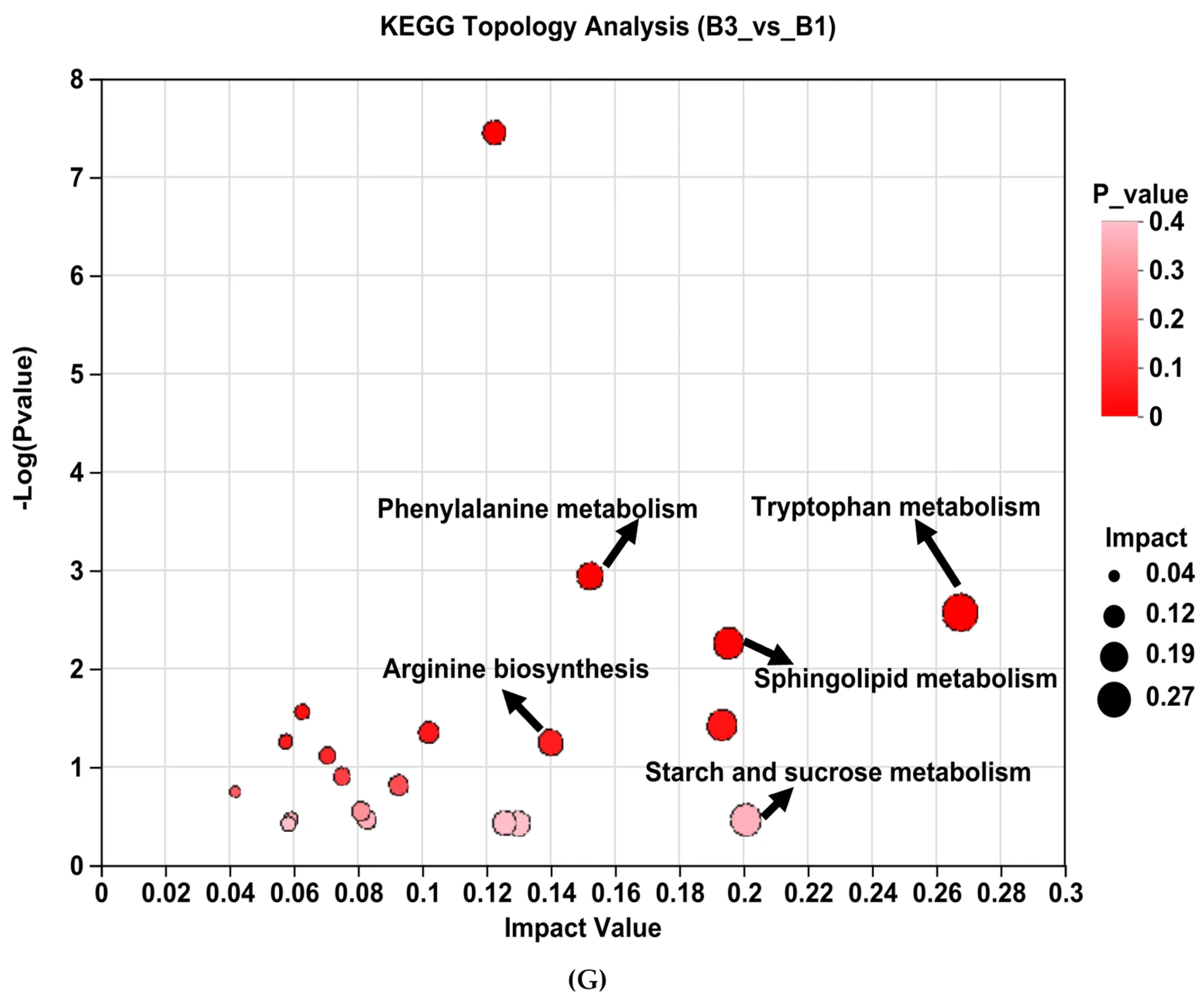 Antioxidants 14 01253 g005b Antioxidants 14 01253 g005b