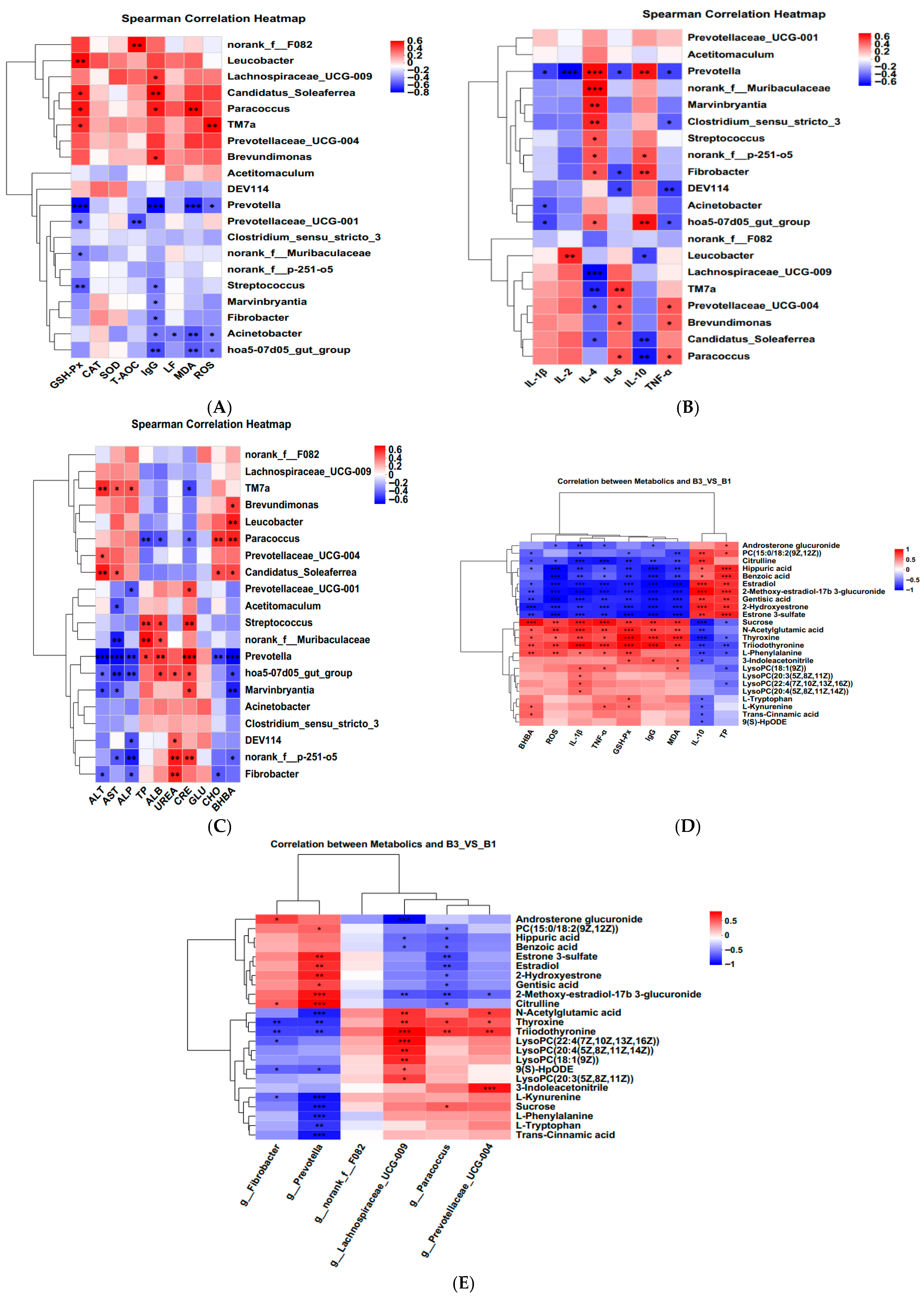 Antioxidants 14 01253 g006 Antioxidants 14 01253 g006