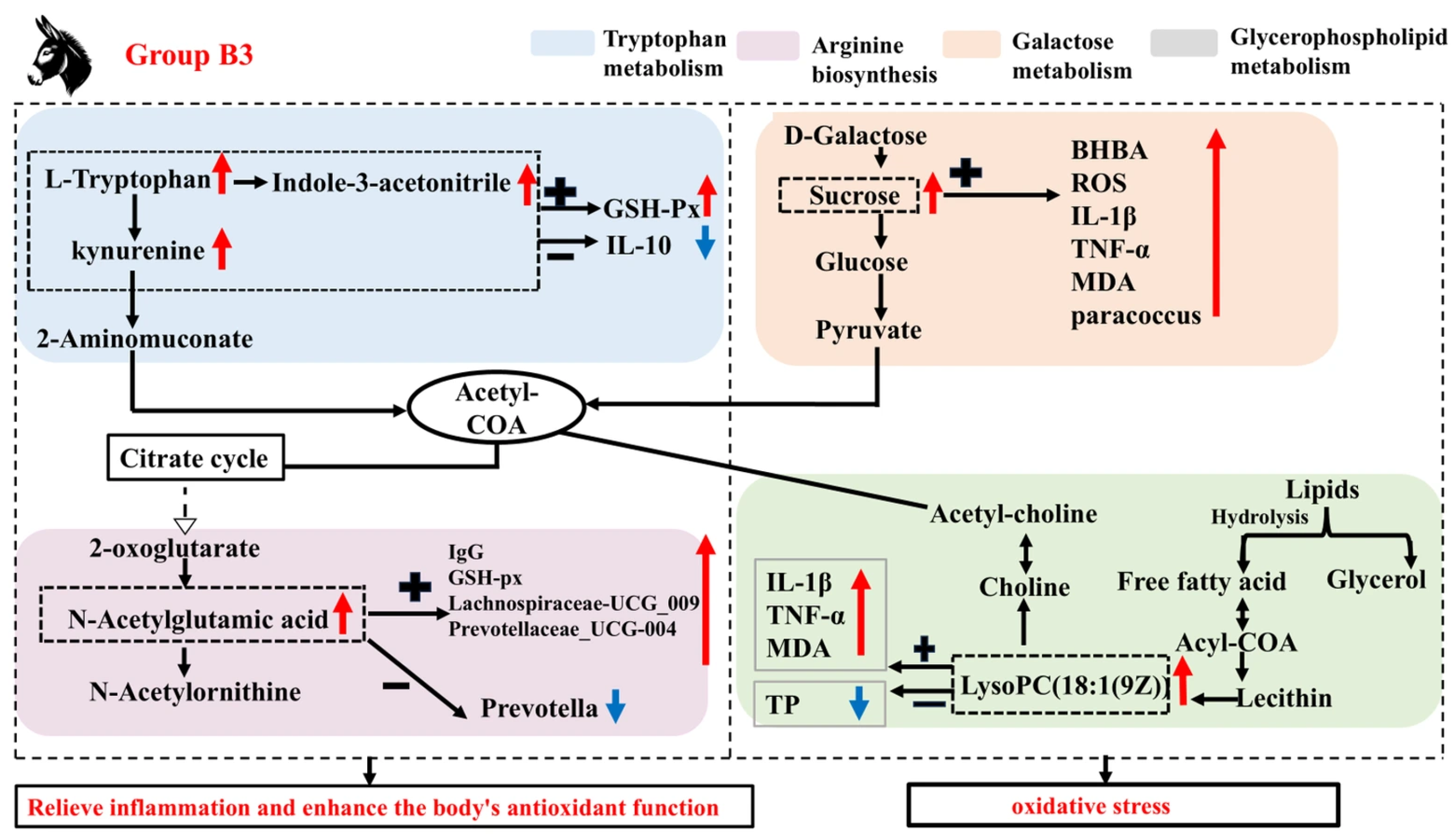 Antioxidants 14 01253 g007 Antioxidants 14 01253 g007