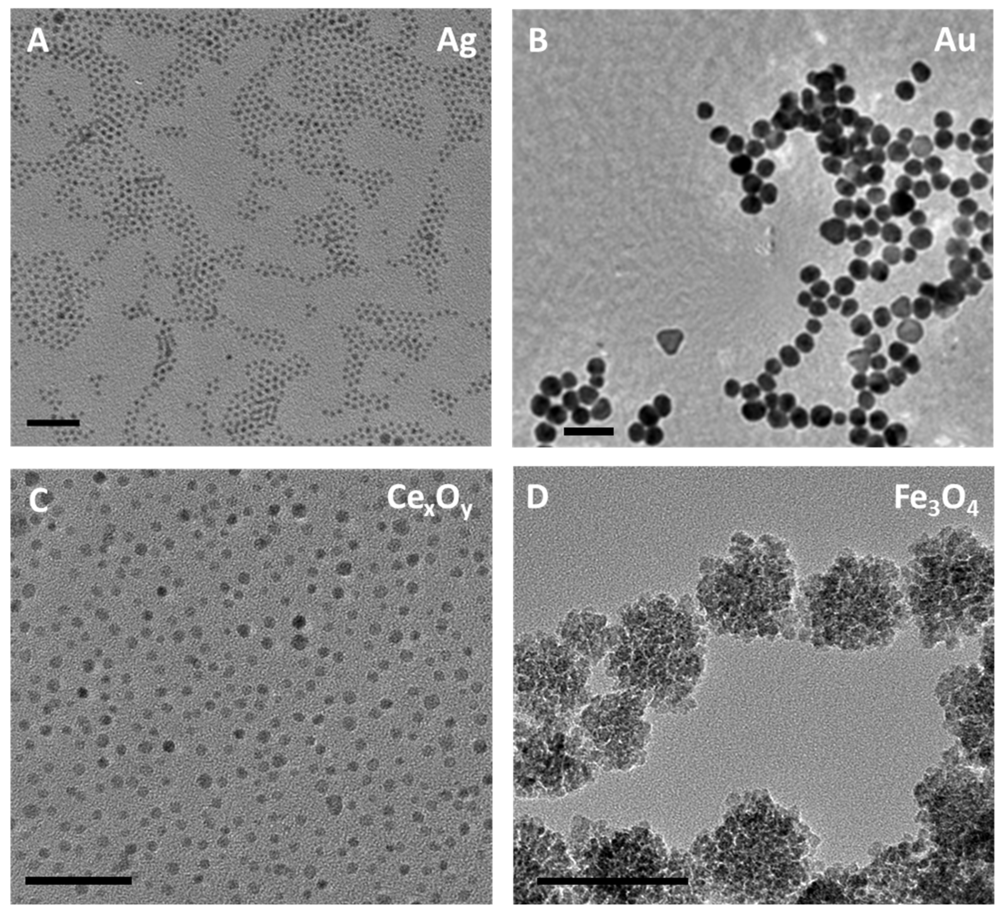 モル Models for predicting impact sensitivity of energetic