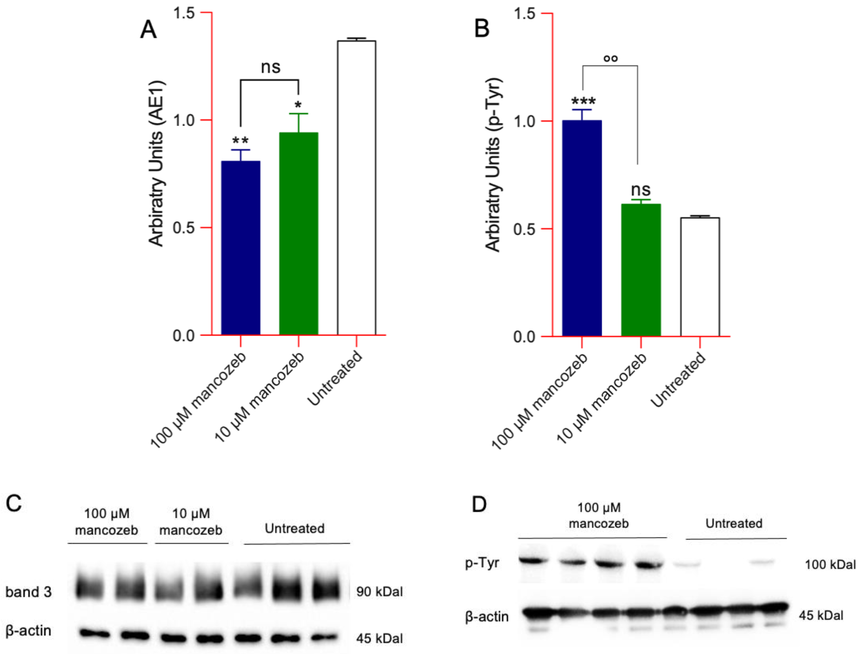 Antioxidants 14 01274 g010