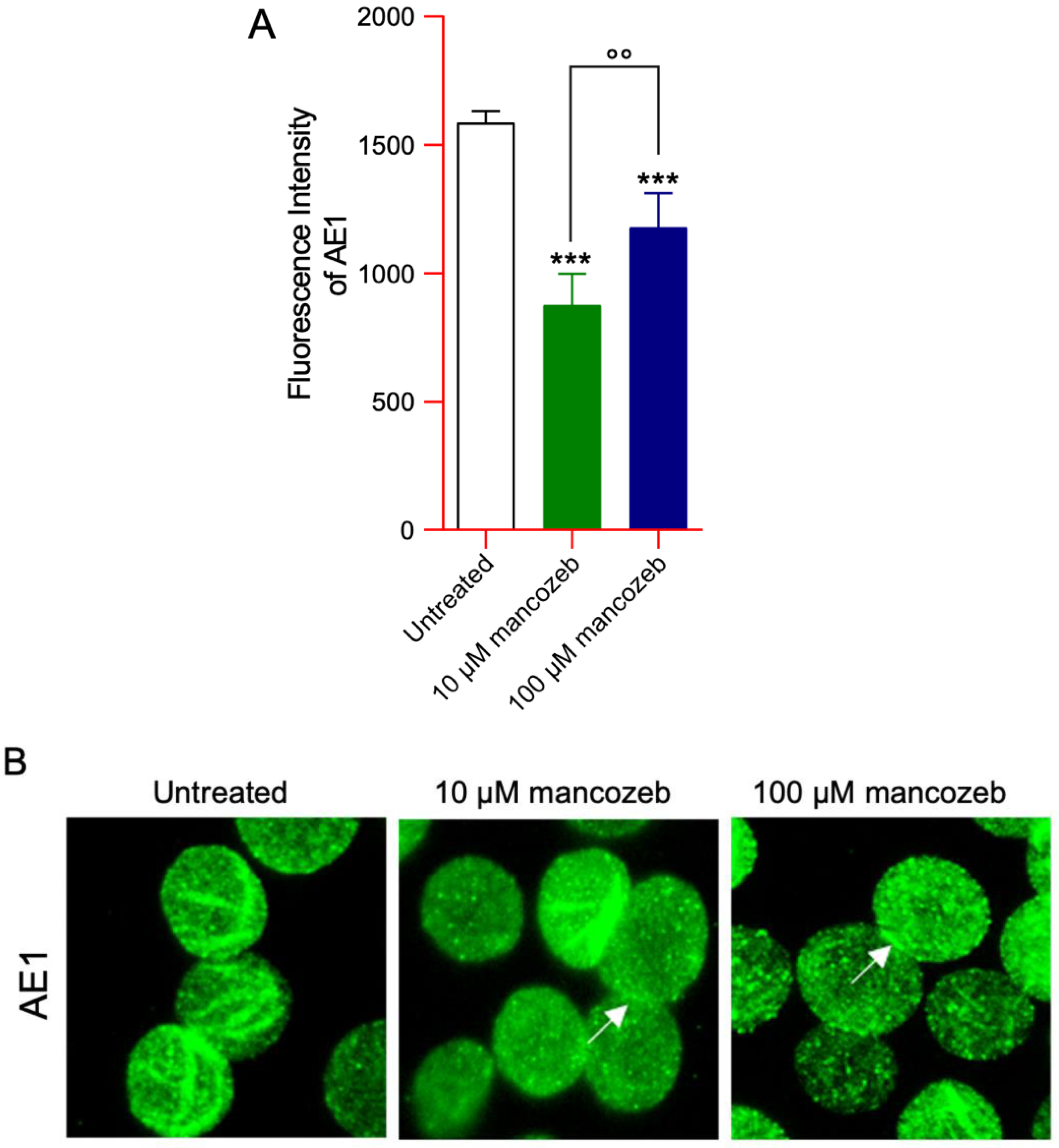 Antioxidants 14 01274 g011