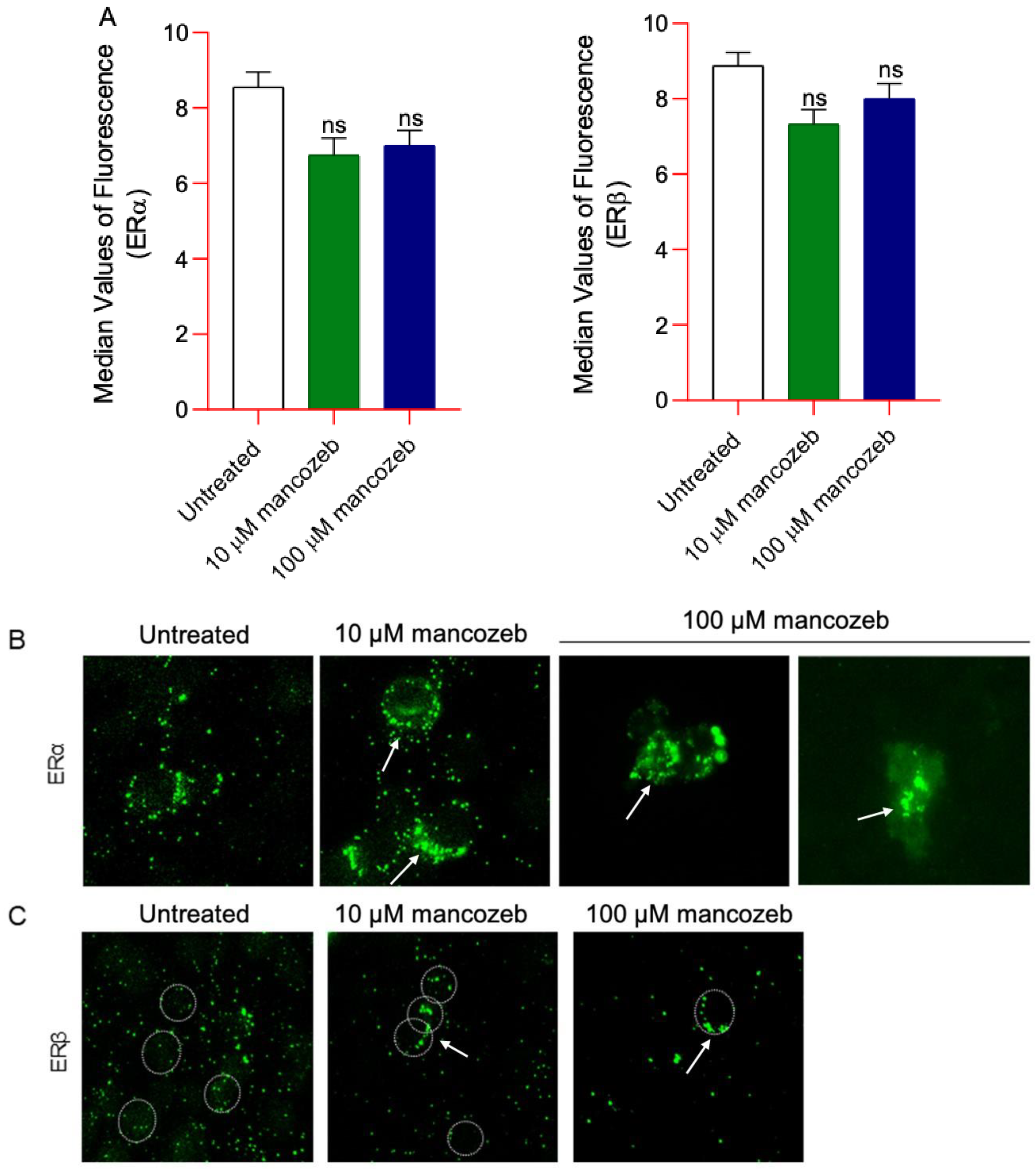 Antioxidants 14 01274 g014