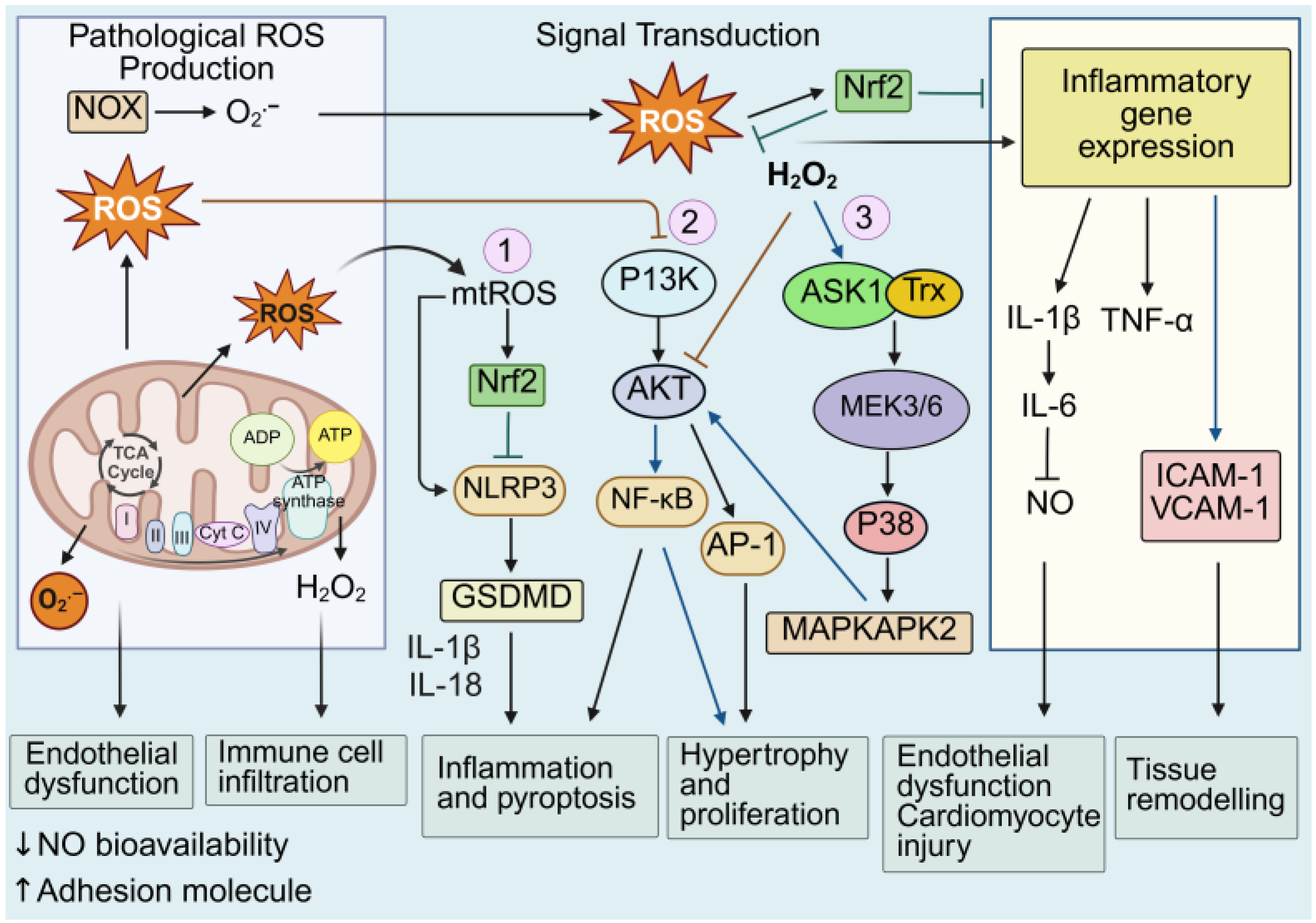 Antioxidants 14 01278 g002
