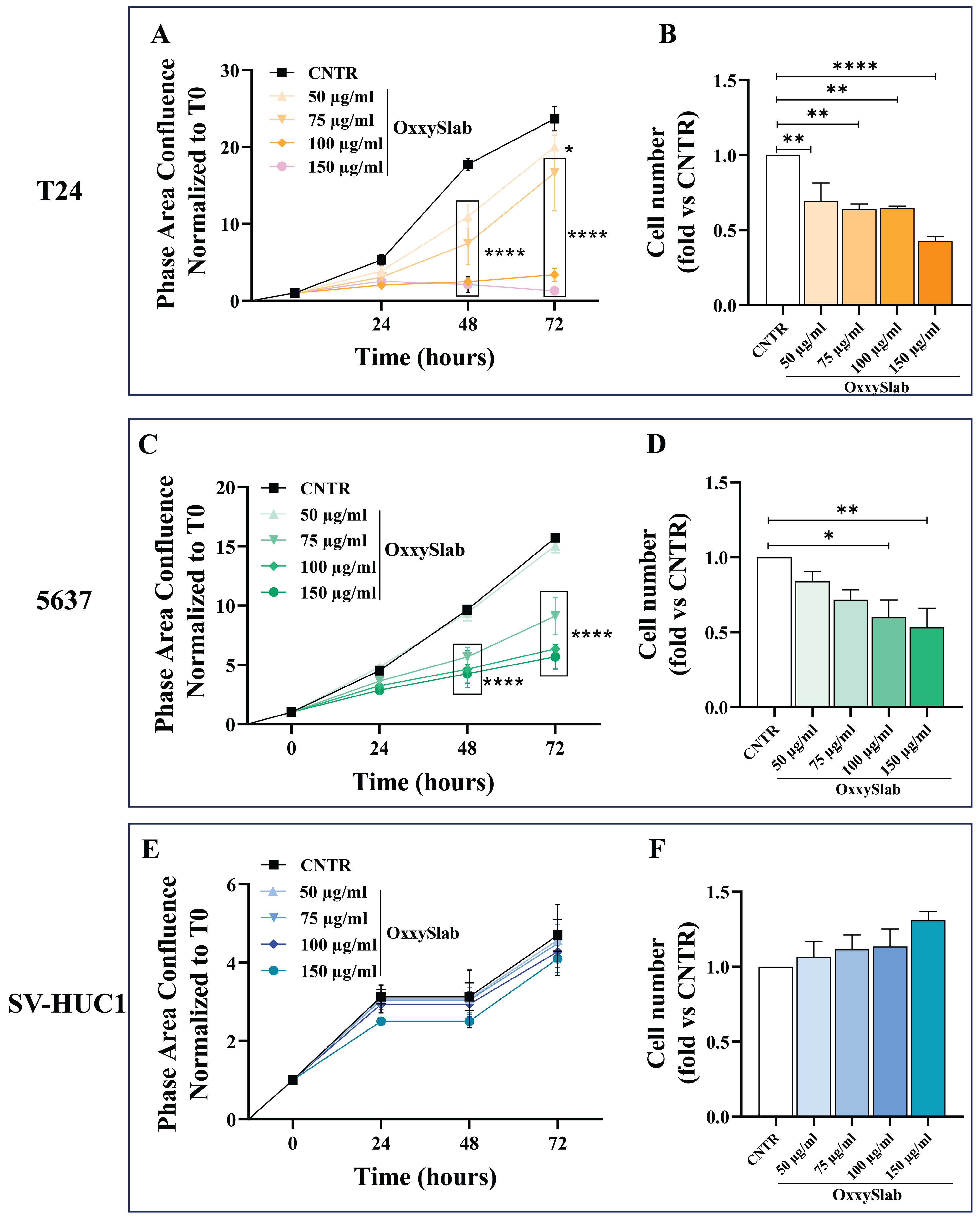 Antioxidants 14 01282 g001a