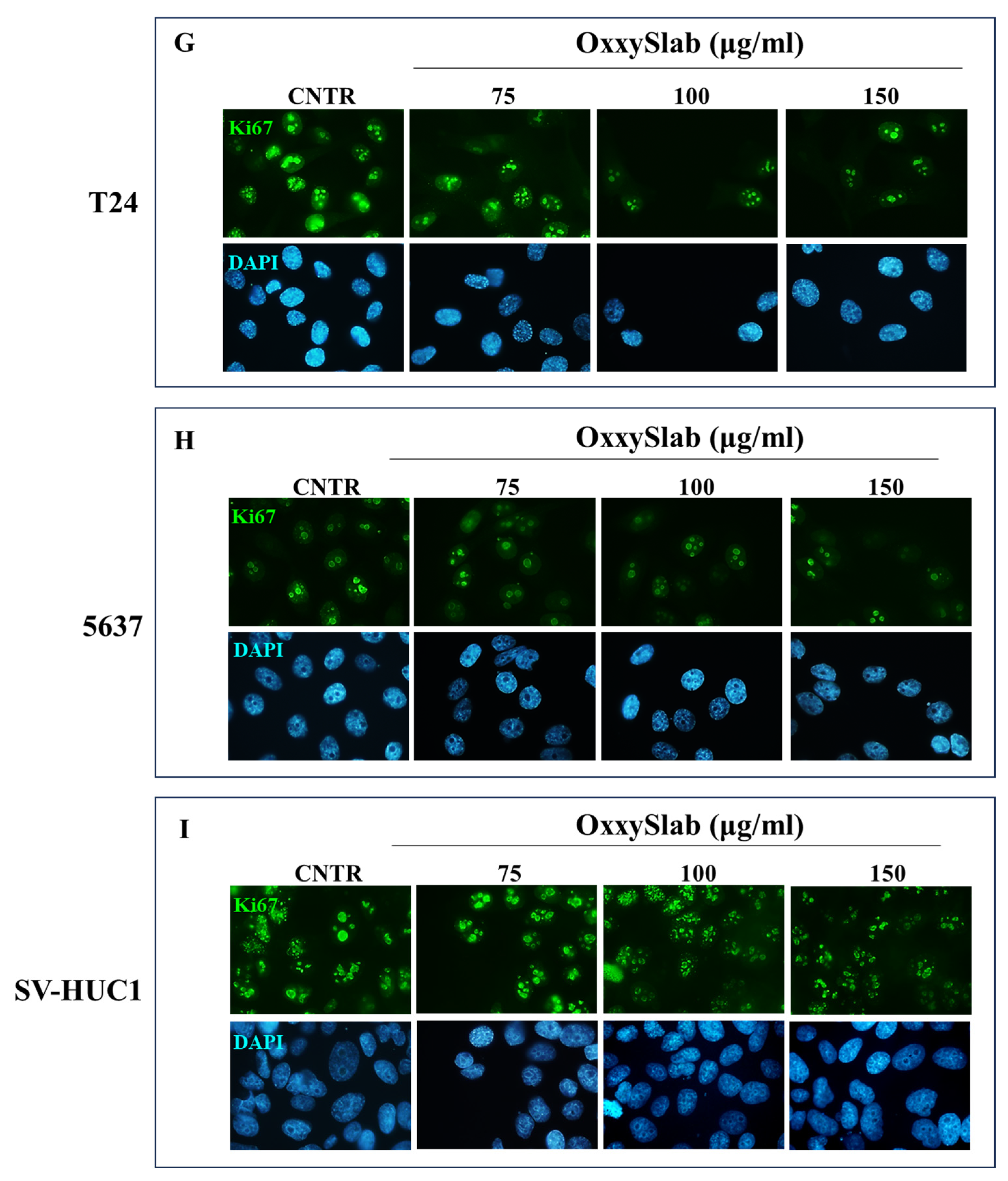Antioxidants 14 01282 g001b