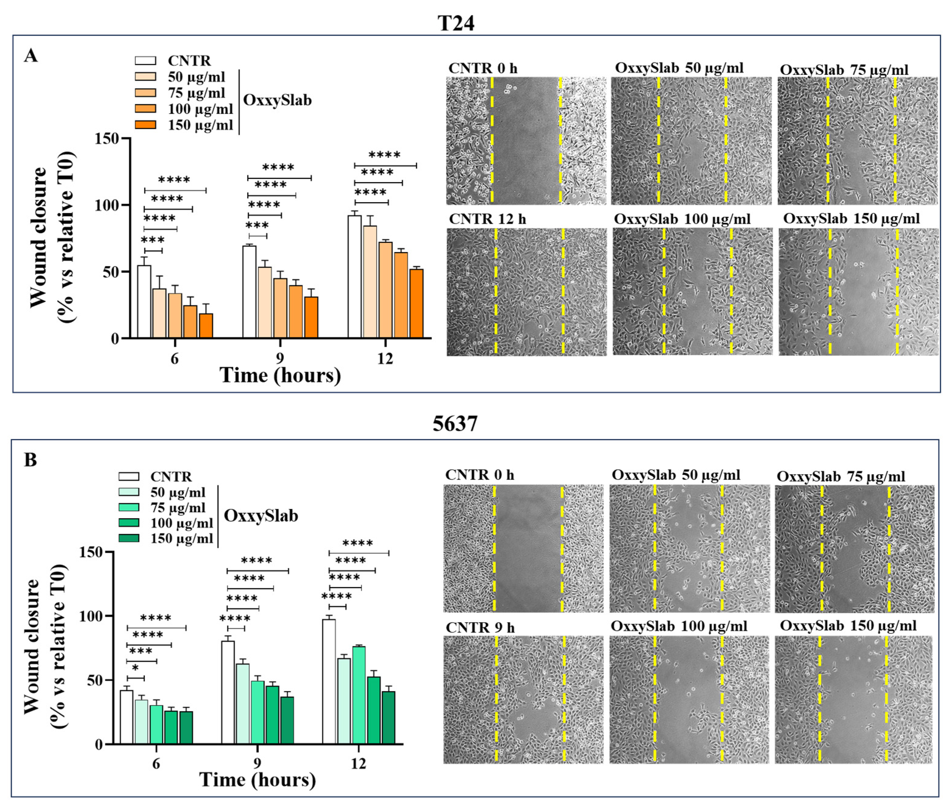 Antioxidants 14 01282 g002a